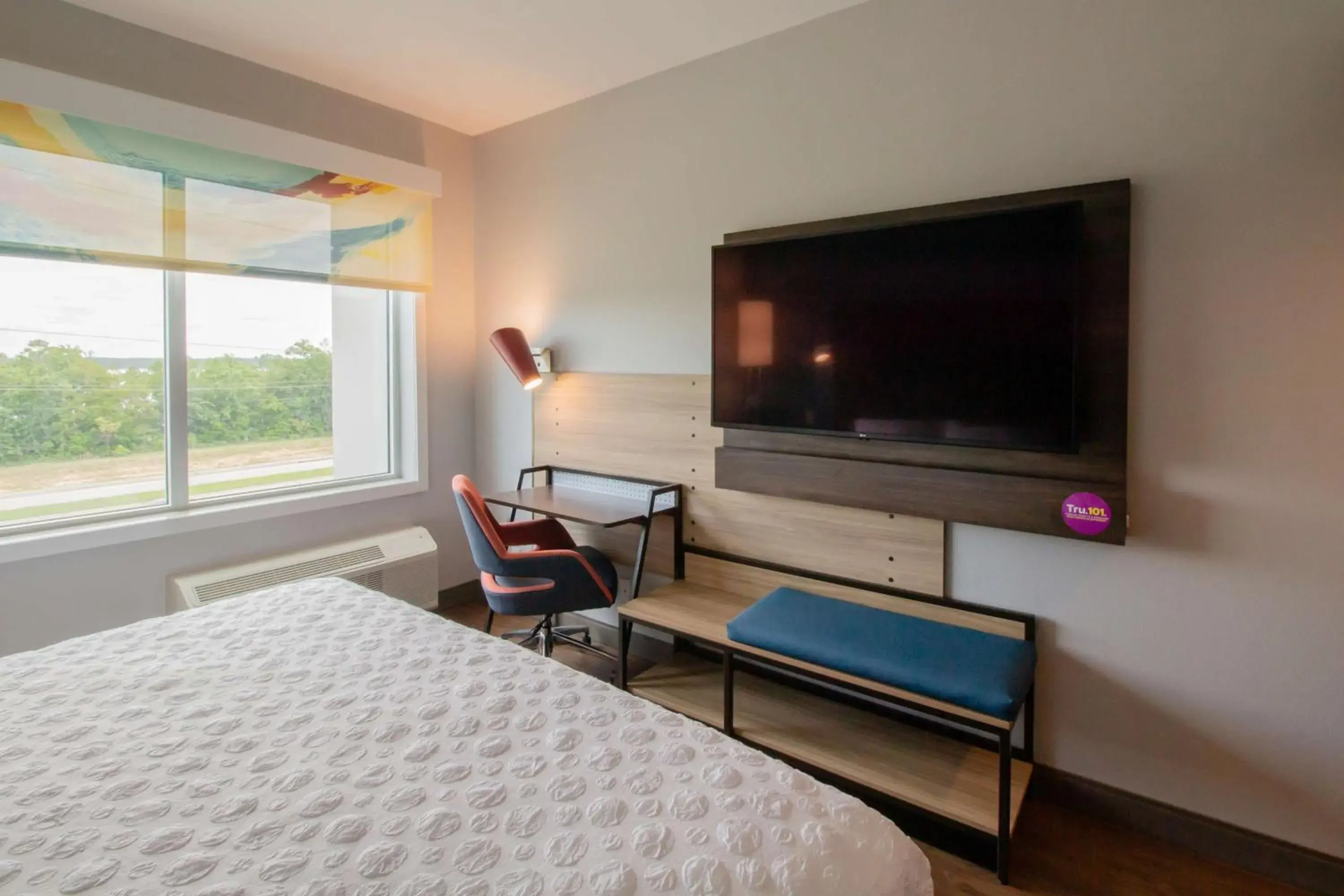 King Room in Tru By Hilton Niceville, Fl King Room in Tru By Hilton Niceville, Fl