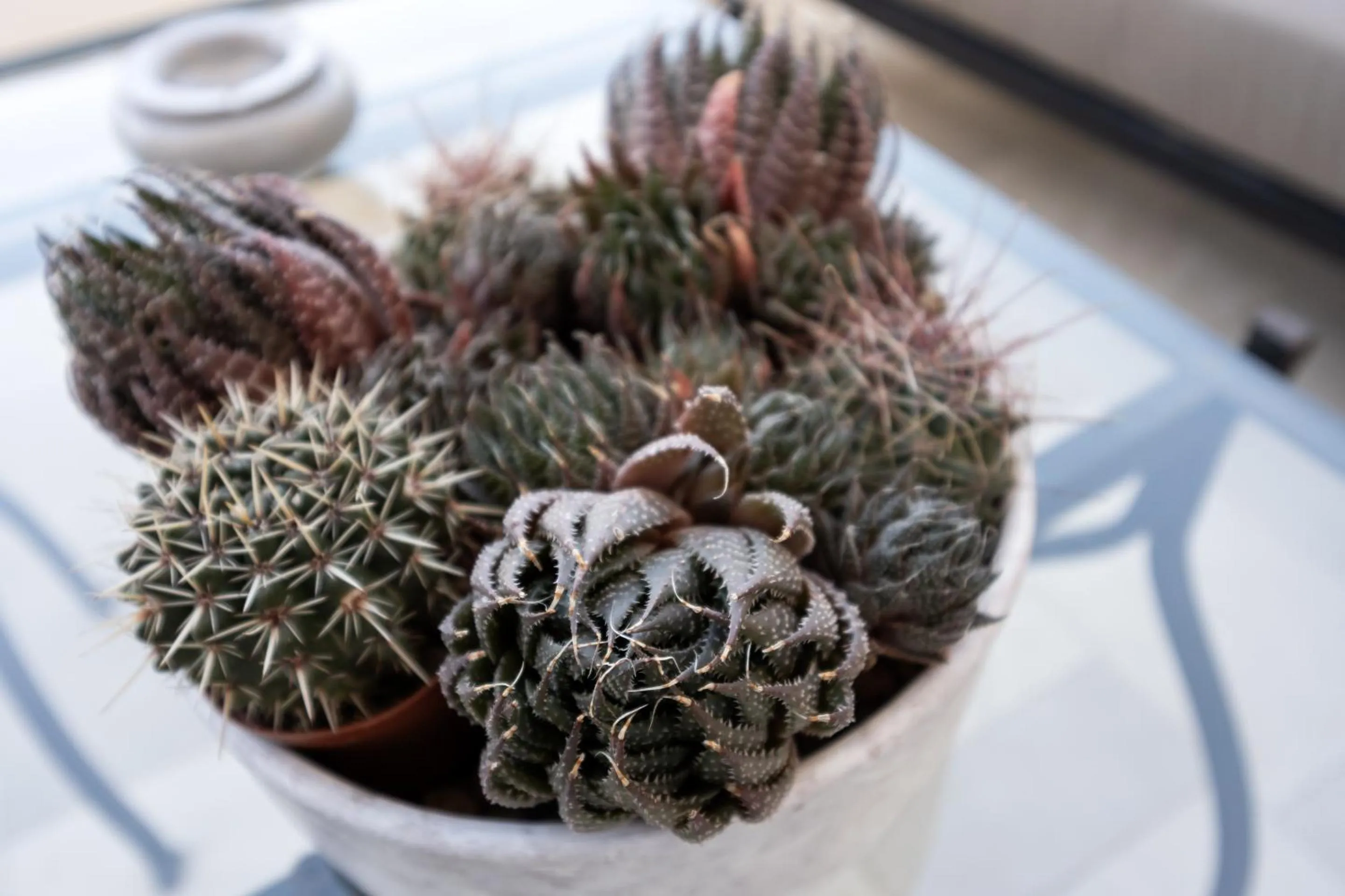 Other in Abalto Suites & Rooms