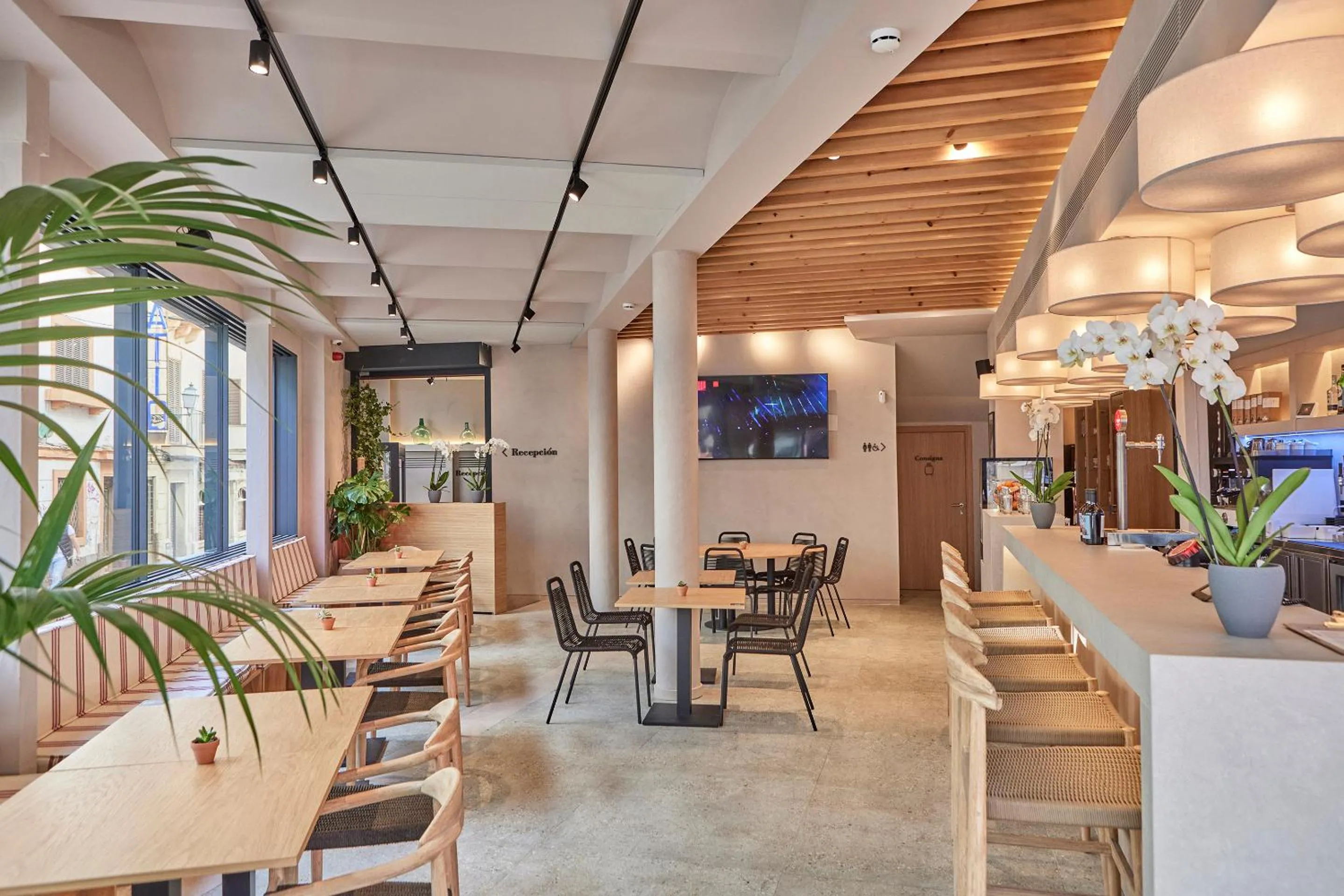 Restaurant/places to eat in JOE'S GOMILA BOUTIQUE HOTEL