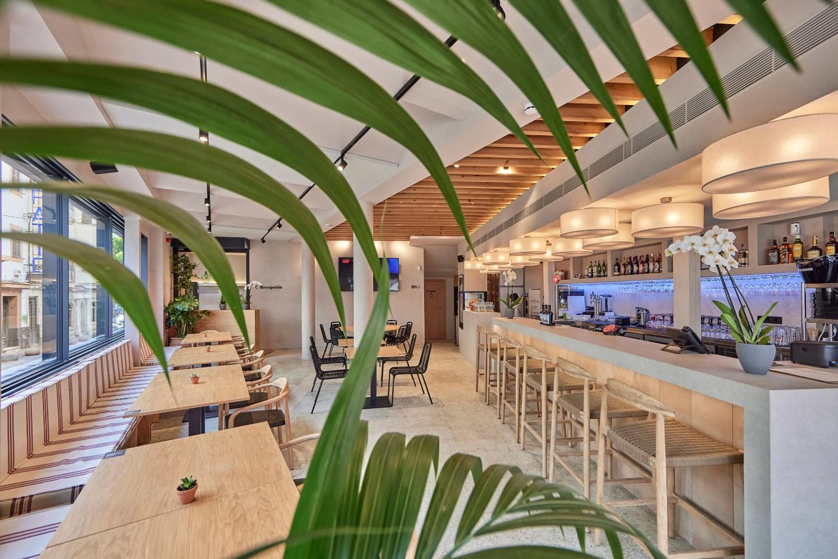 Restaurant/places to eat in JOE'S GOMILA BOUTIQUE HOTEL