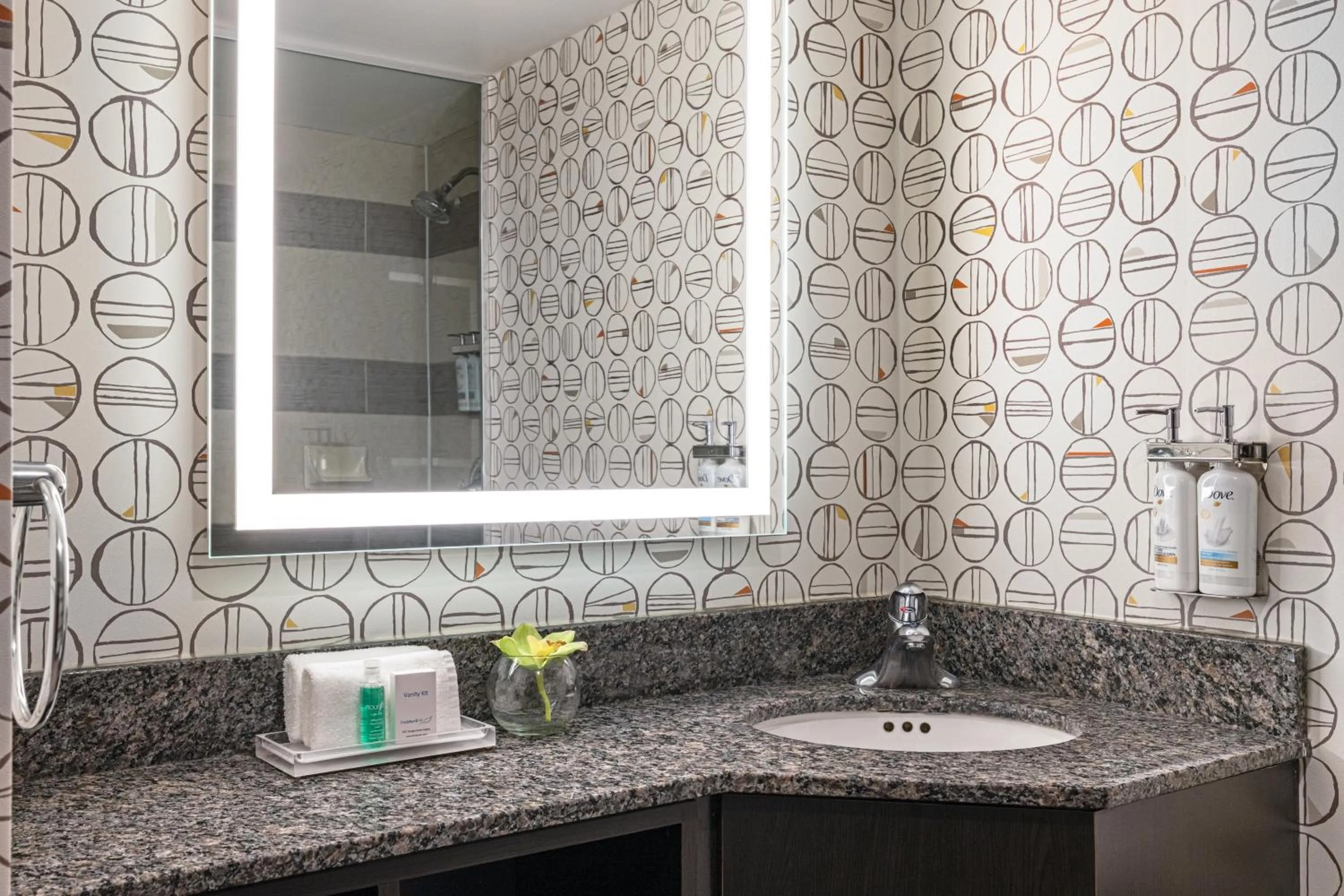 Bathroom in Holiday Inn Toronto Downtown Centre by IHG