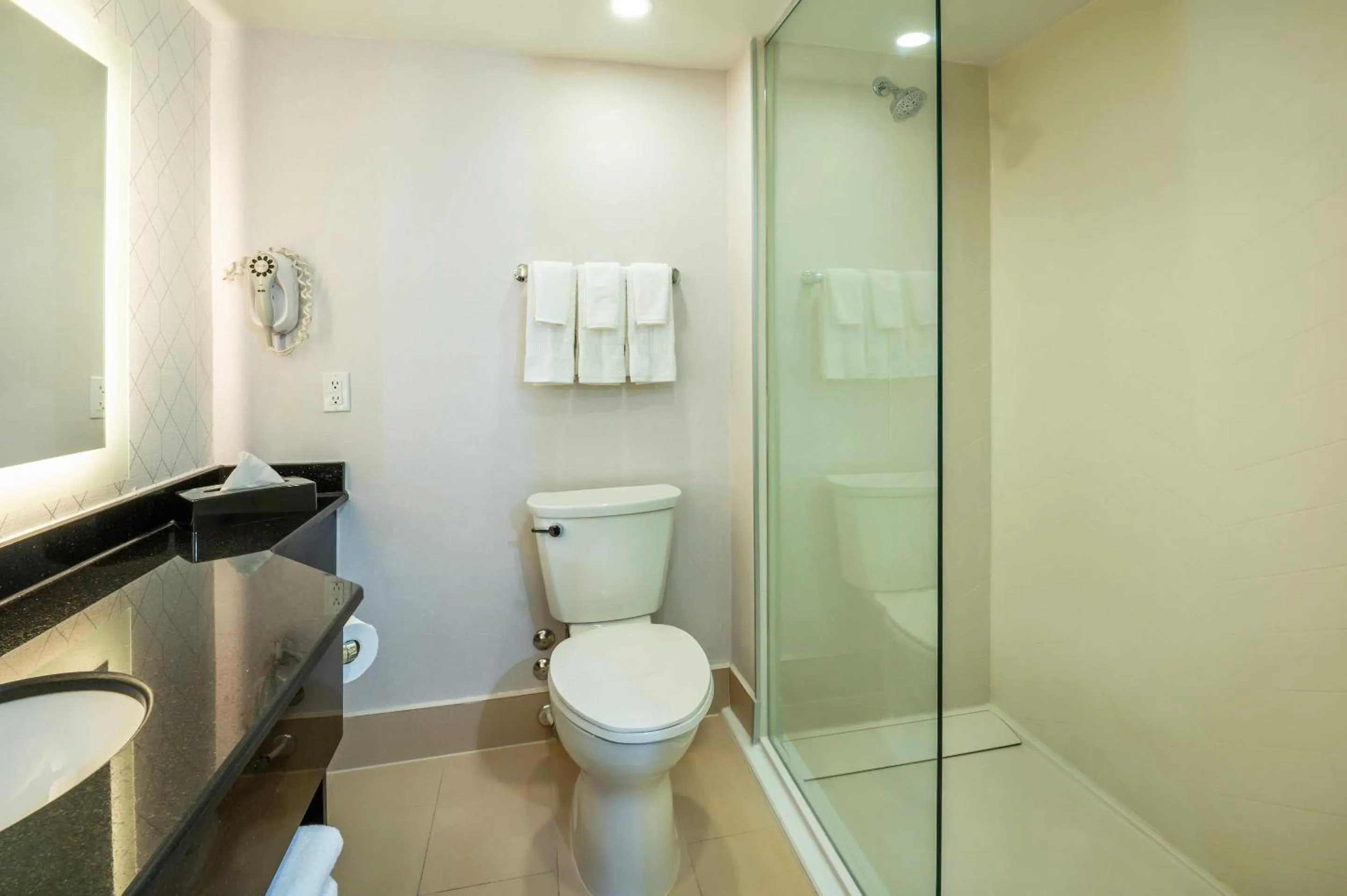 Bedroom in Comfort Inn & Conference Centre Toronto Airport