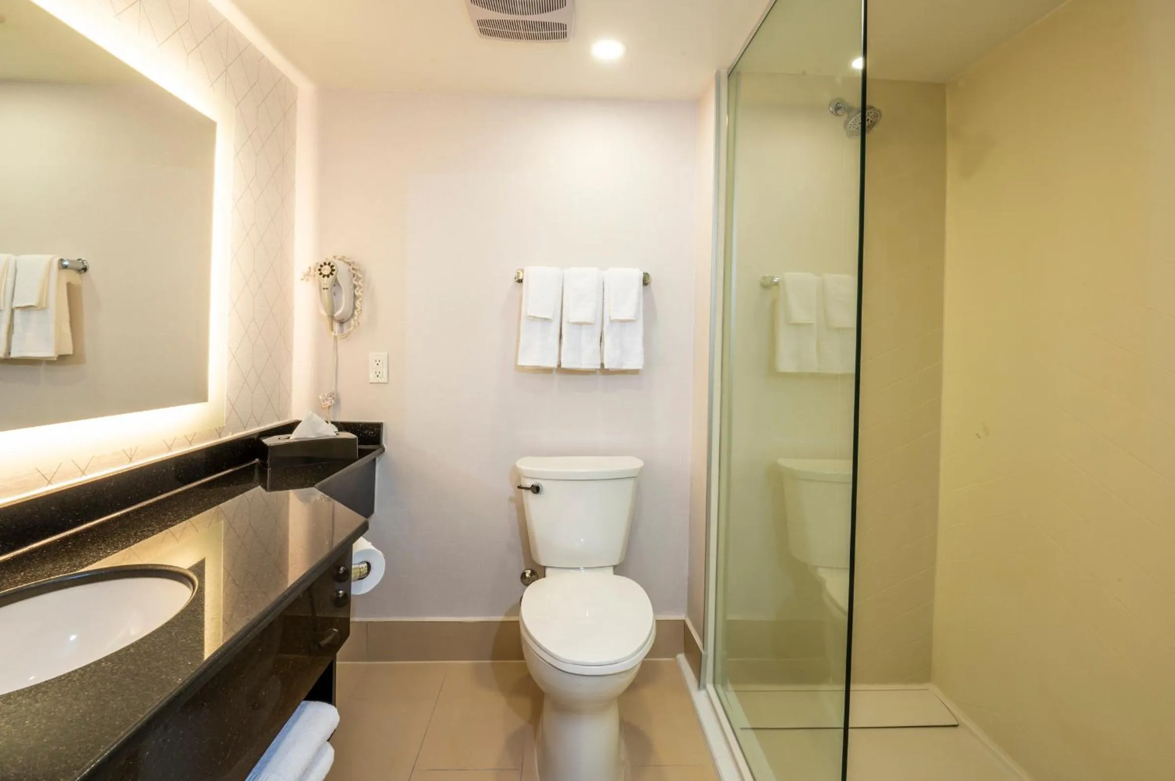 Photo of the whole room in Comfort Inn & Conference Centre Toronto Airport