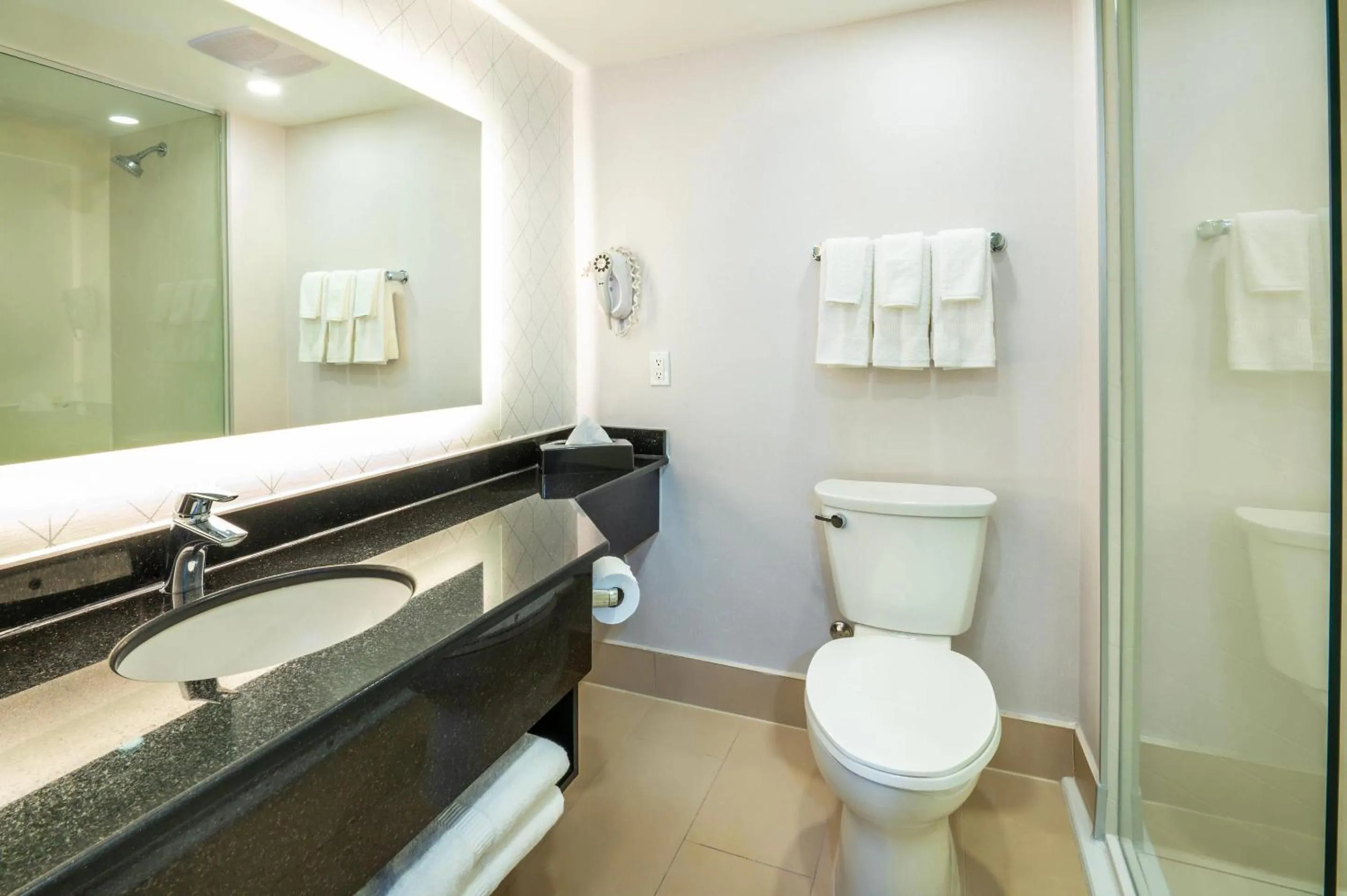 Bedroom in Comfort Inn & Conference Centre Toronto Airport