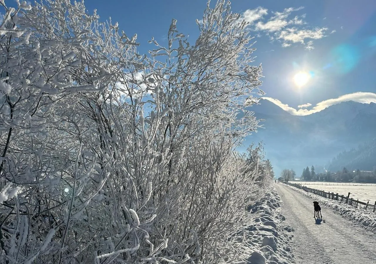 Natural landscape in Hotel Bad Hofgastein - The STORKS - Adults Only