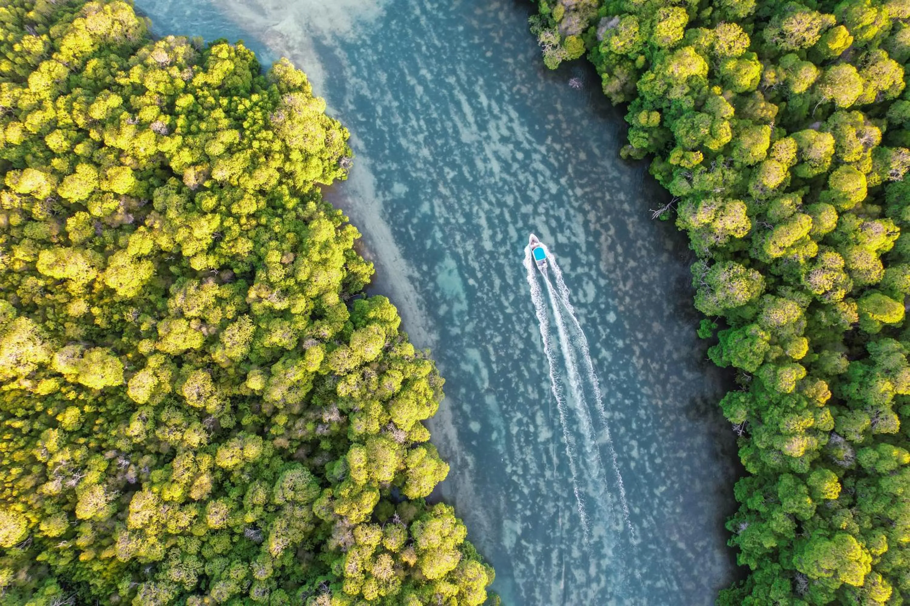 The Mida Creek Hotel