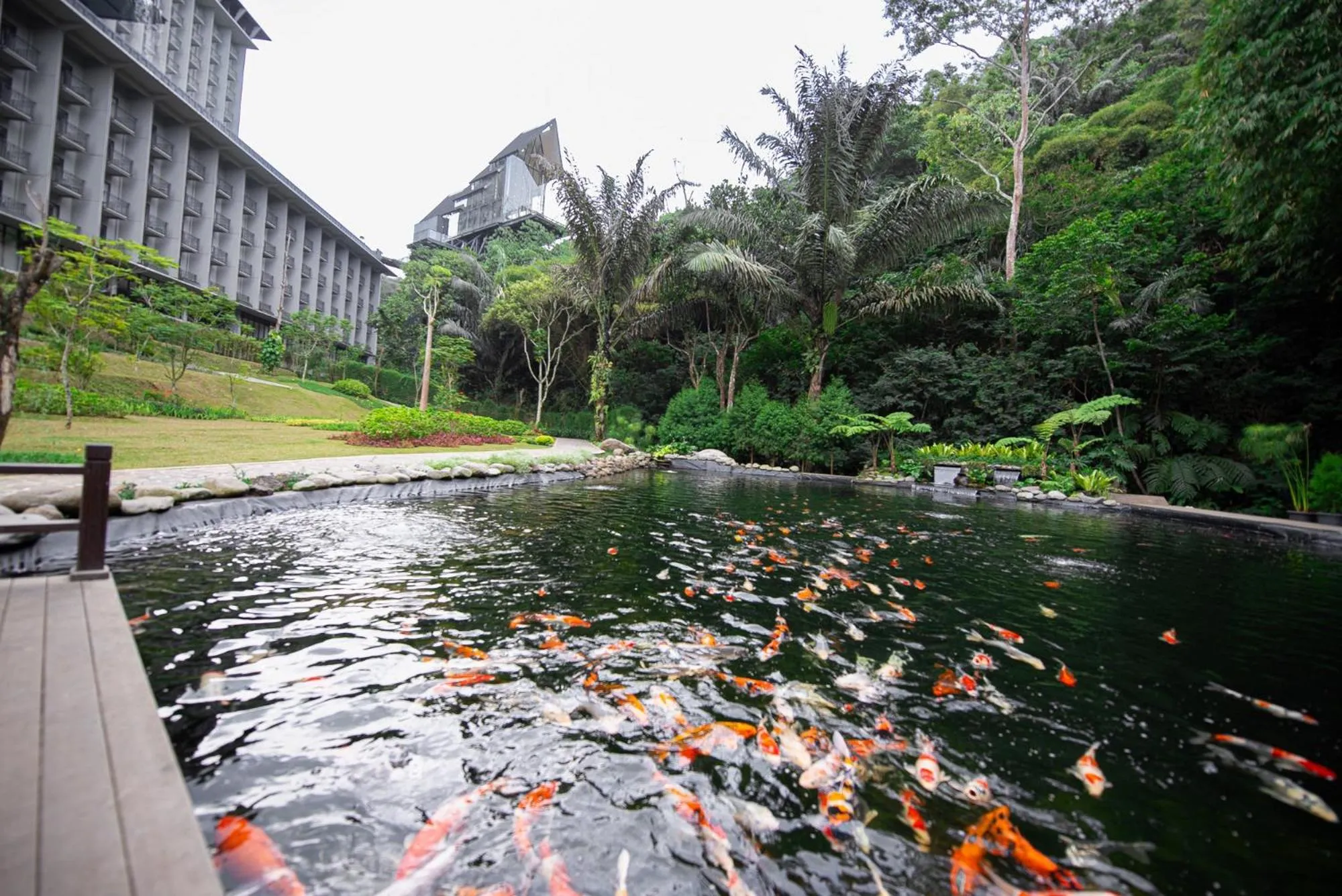 The Gaia Hotel Bandung