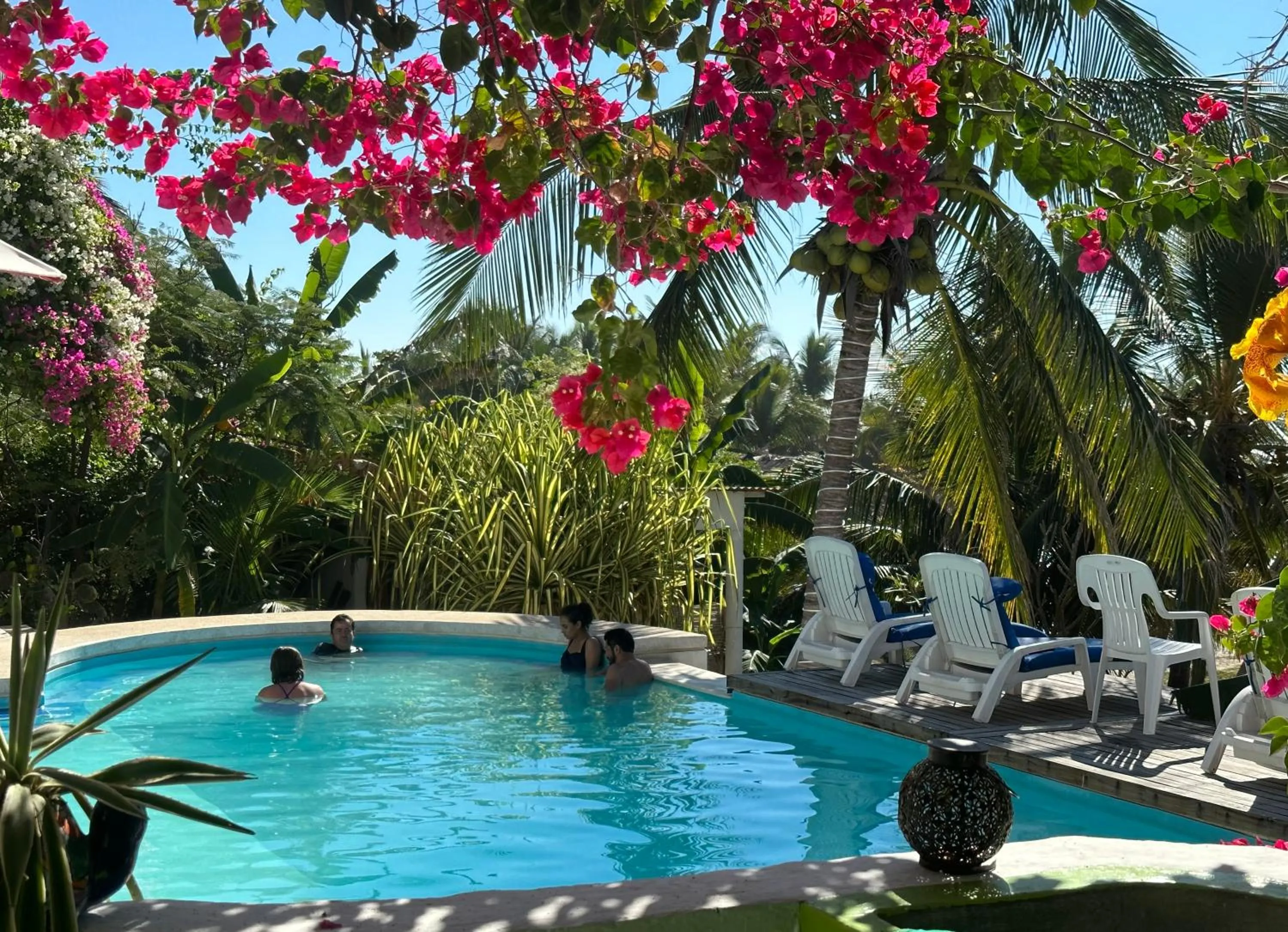 Natural landscape in Beachfront Paradise Boutique Hotel