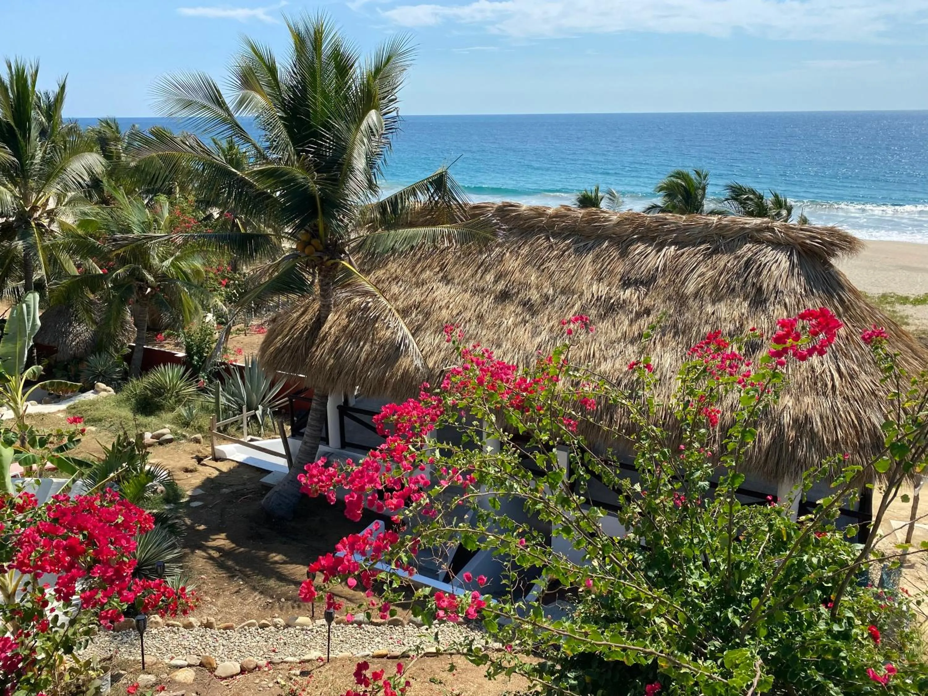Garden view in Beachfront Paradise Boutique Hotel