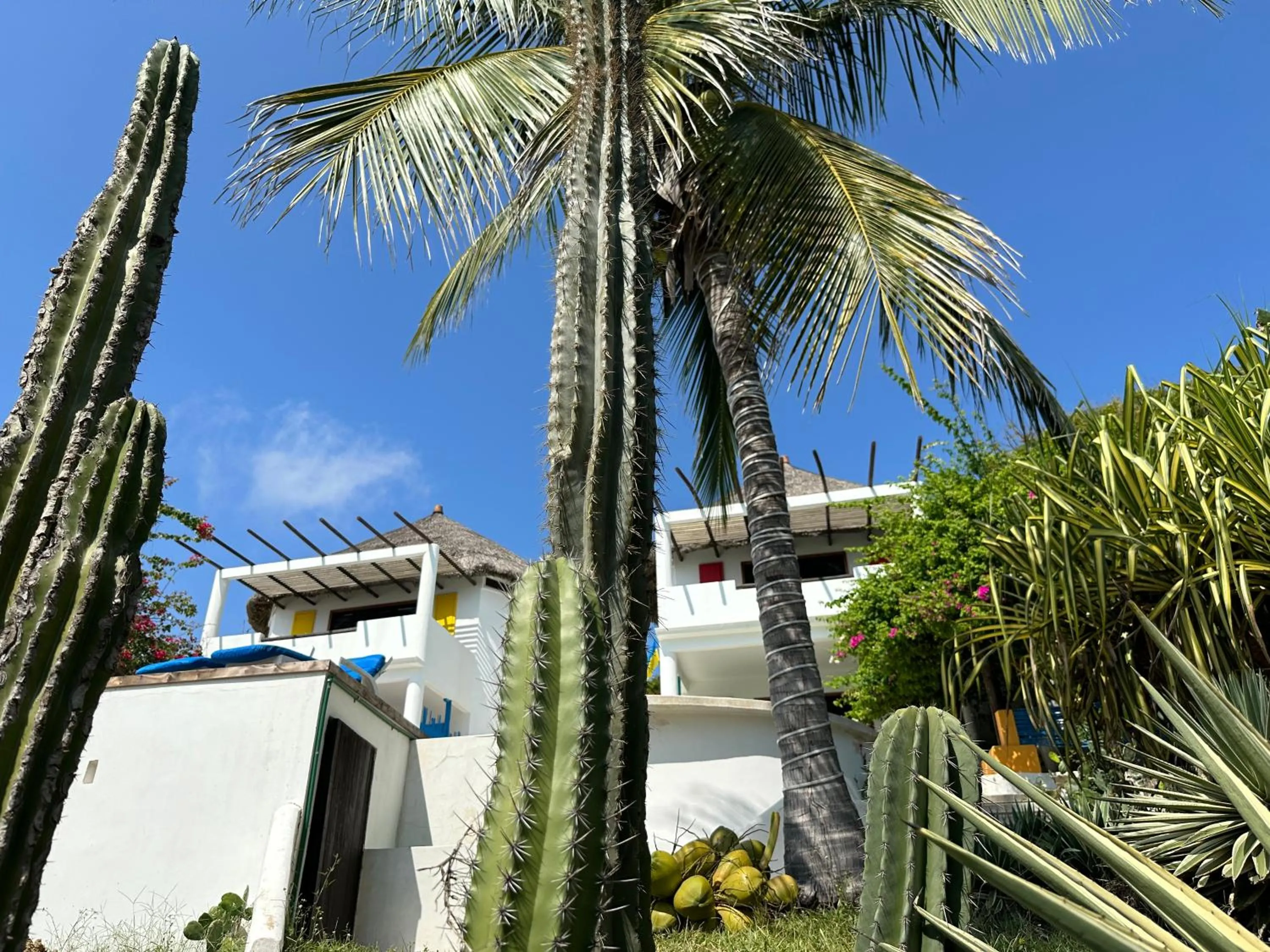 Day in Beachfront Paradise Boutique Hotel