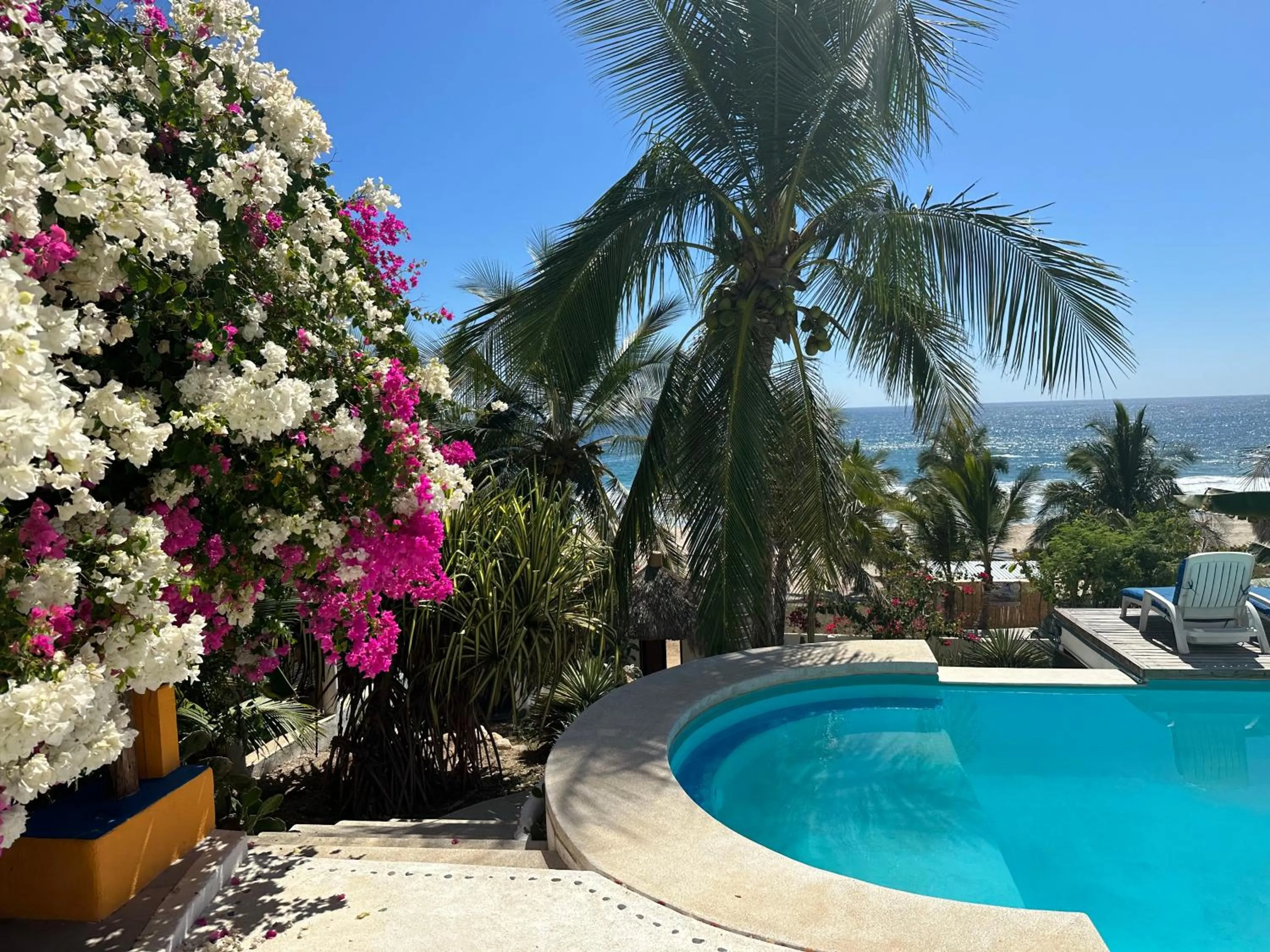 Natural landscape in Beachfront Paradise Boutique Hotel