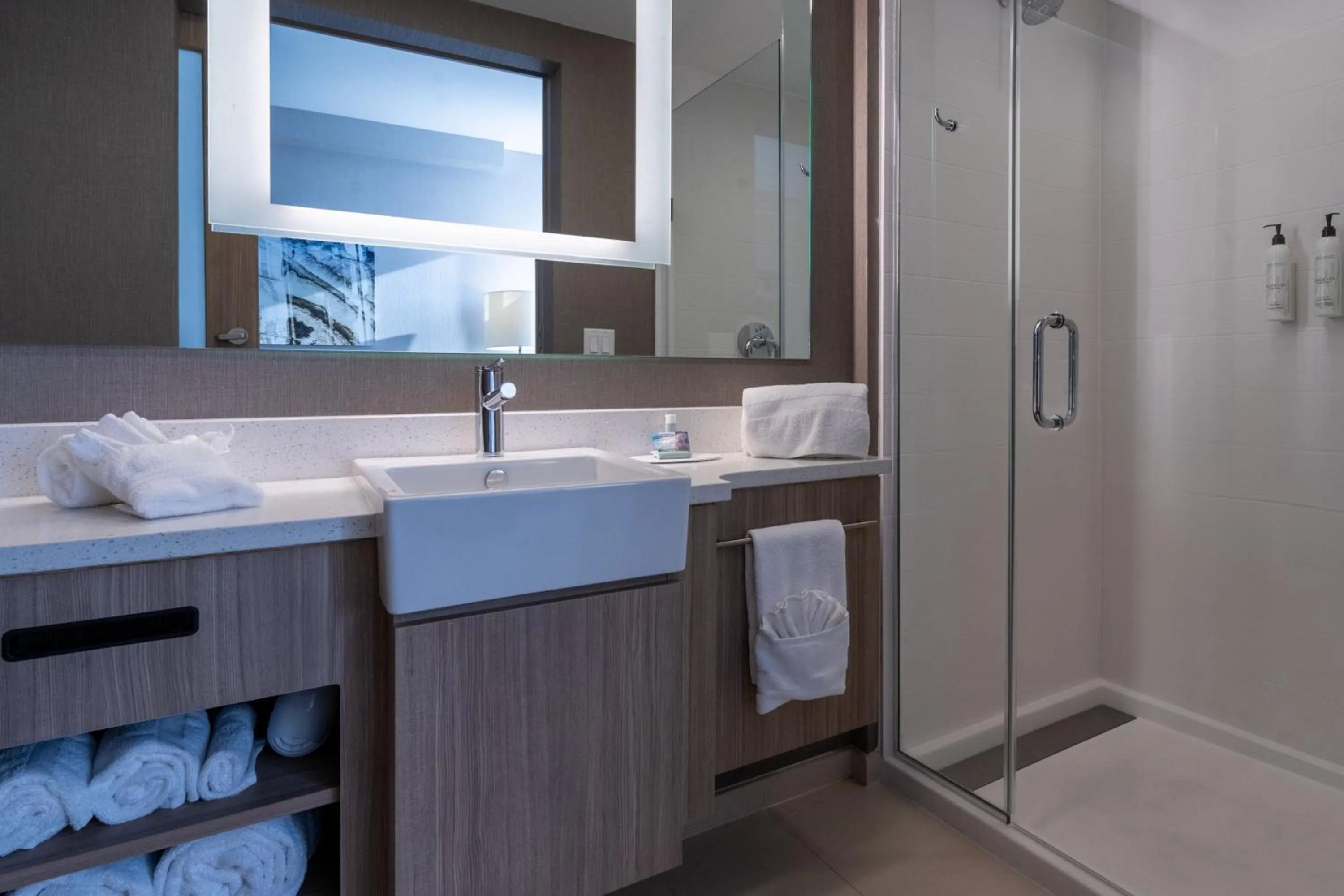 Bathroom in SpringHill Suites by Marriott Woodbridge