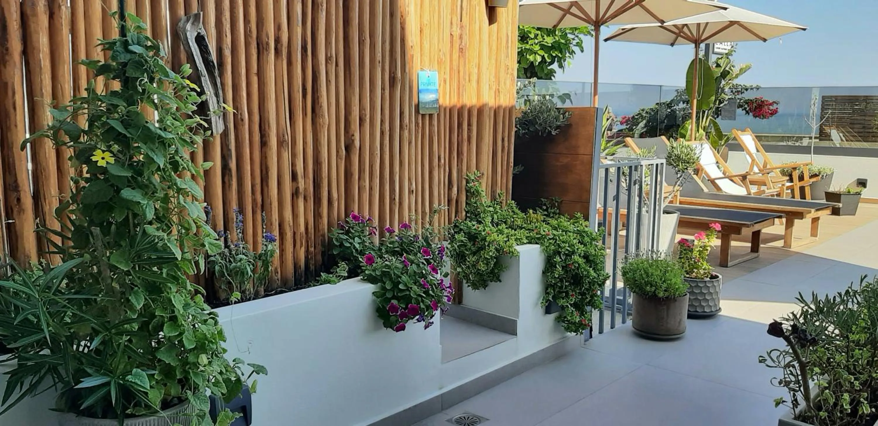 Garden in Calla Luxury Seafront Suites