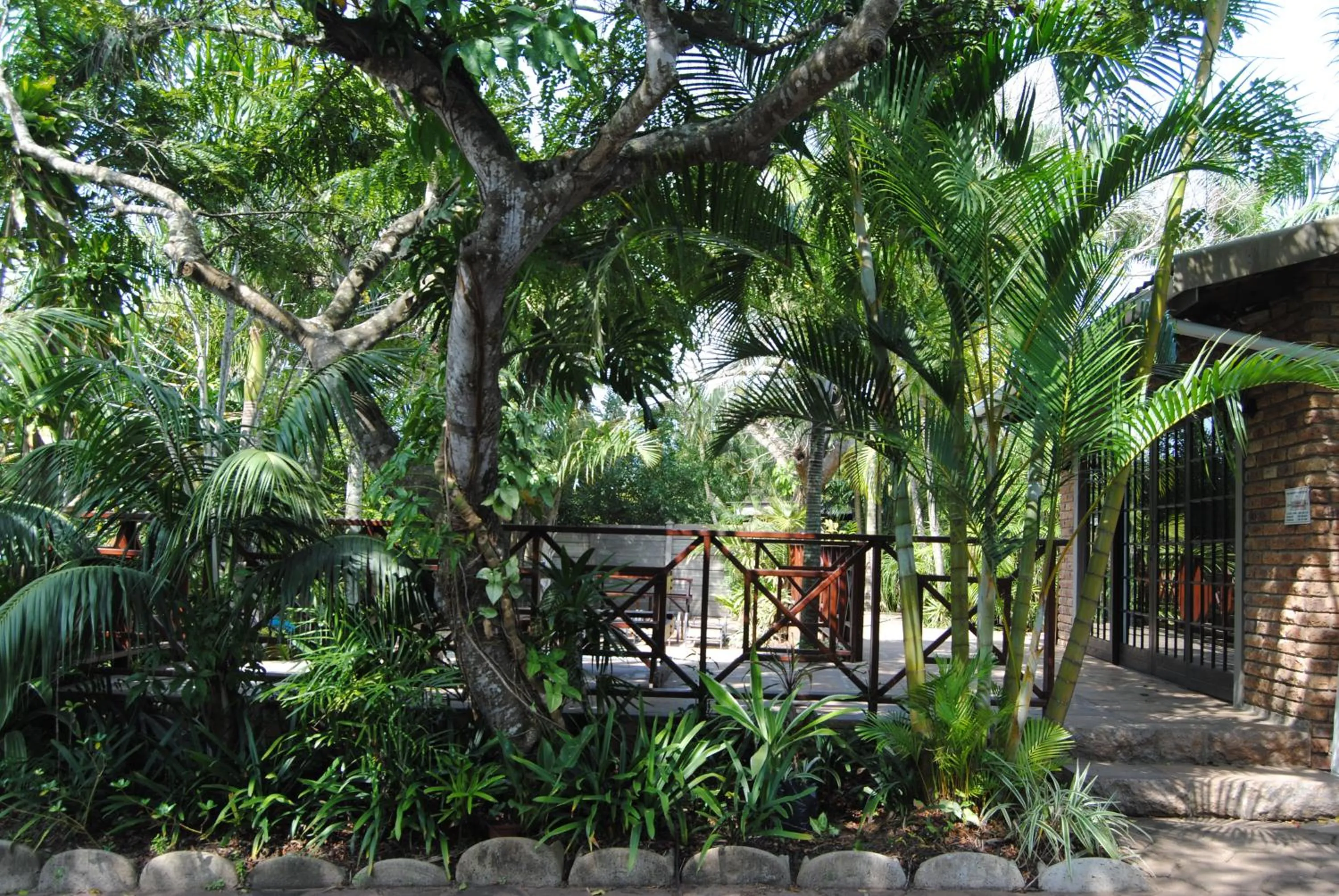 Garden in African Dreamz Guest House