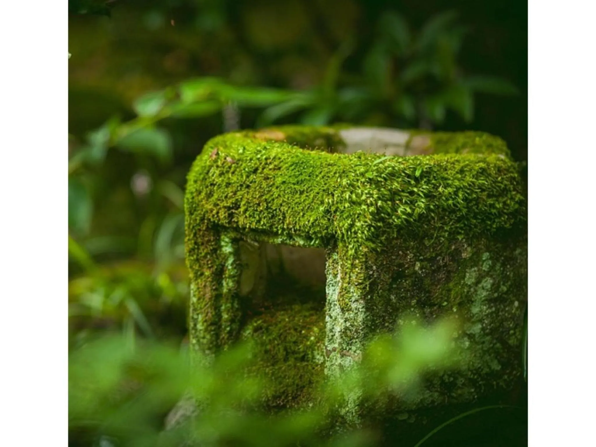 Dogo Onsen Funaya - Vacation STAY 54201v