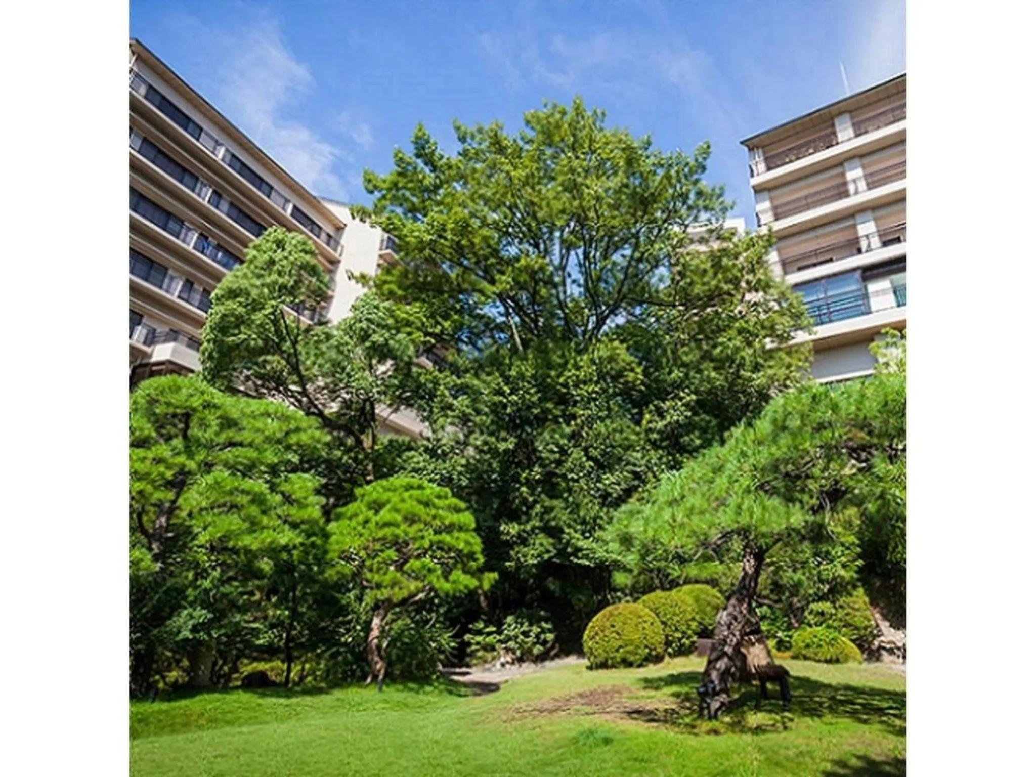 Dogo Onsen Funaya - Vacation STAY 54212v