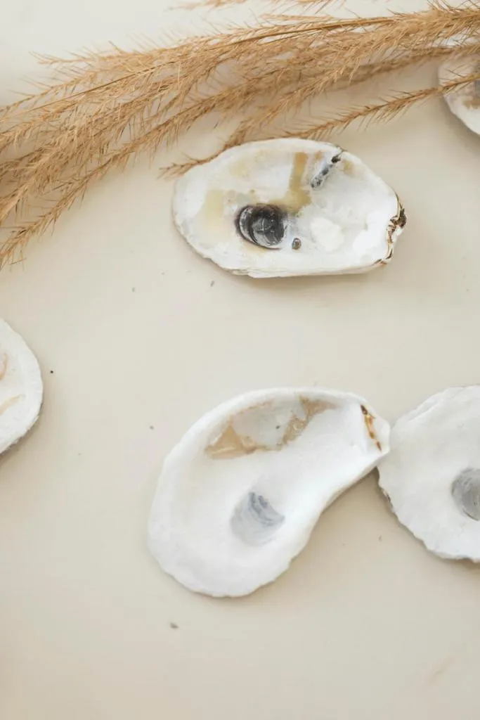 Decorative detail in Oyster Bay Boutique Hotel