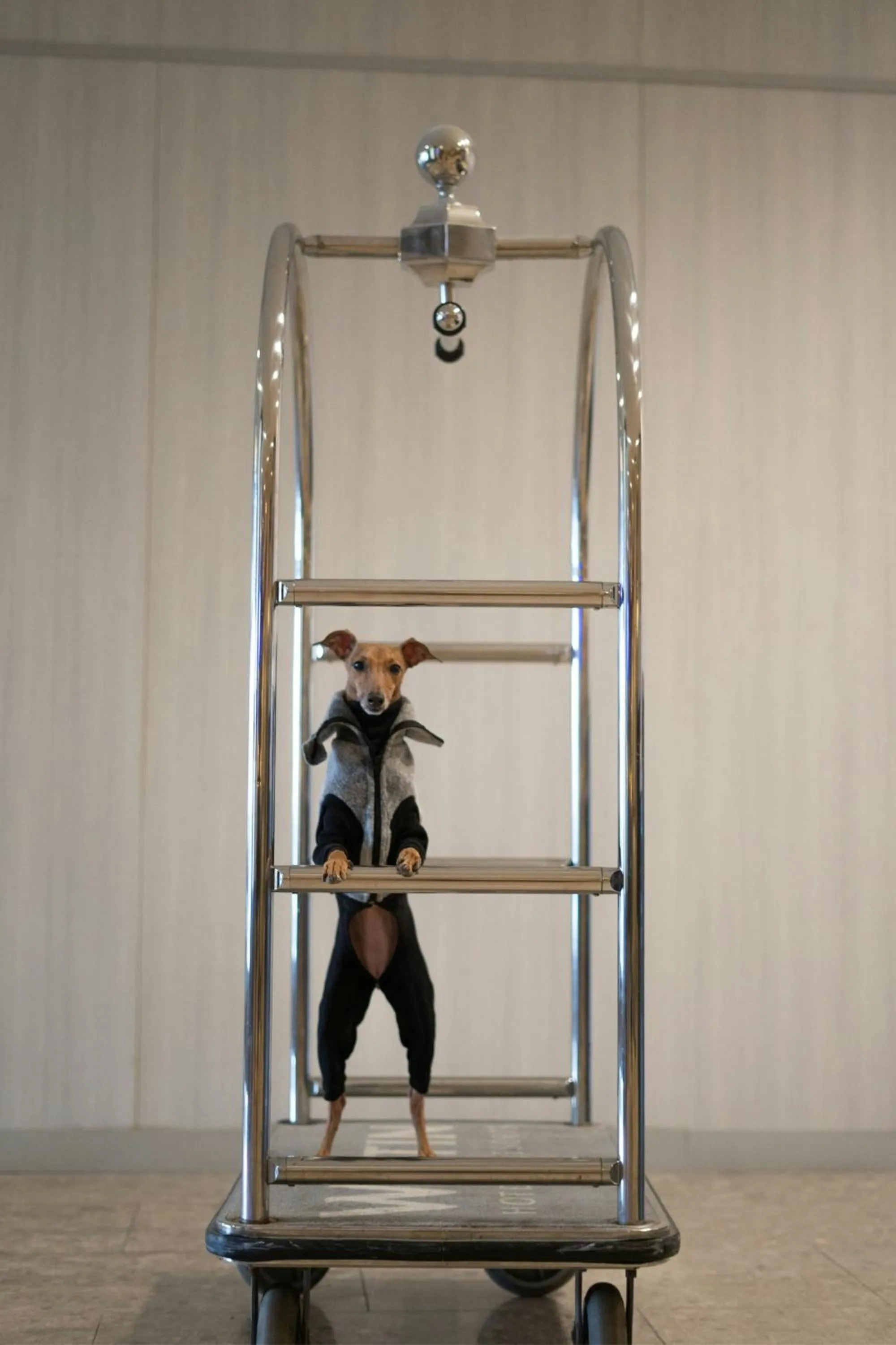 Other in The Westin Harbour Castle, Toronto