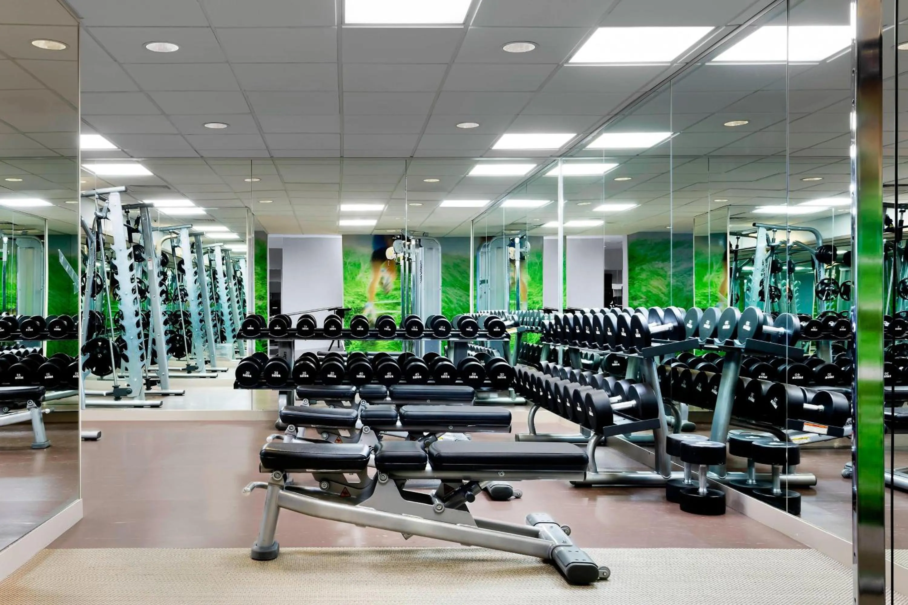 Fitness centre/facilities in The Westin Harbour Castle, Toronto
