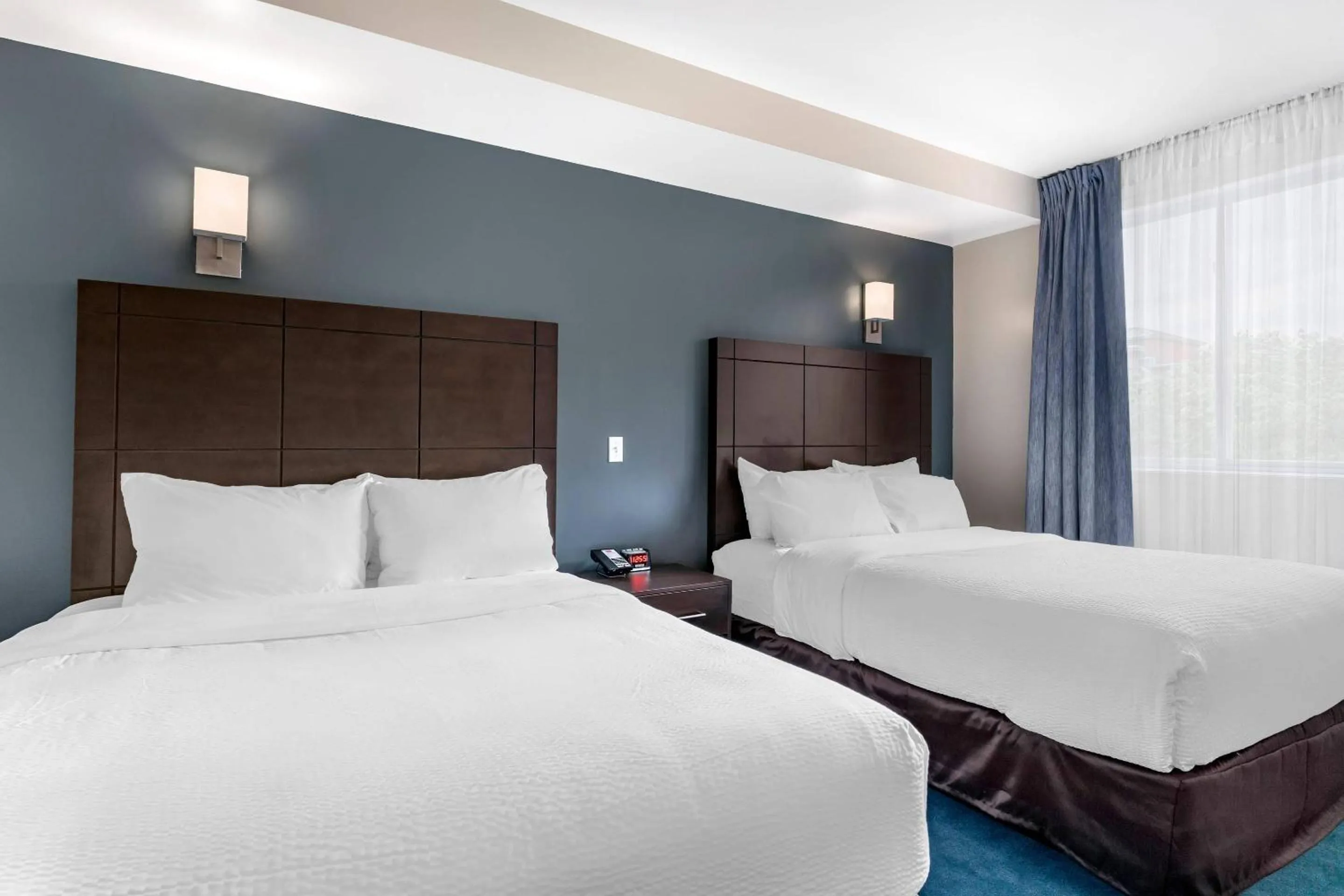 Bedroom, Bed in Econo Lodge