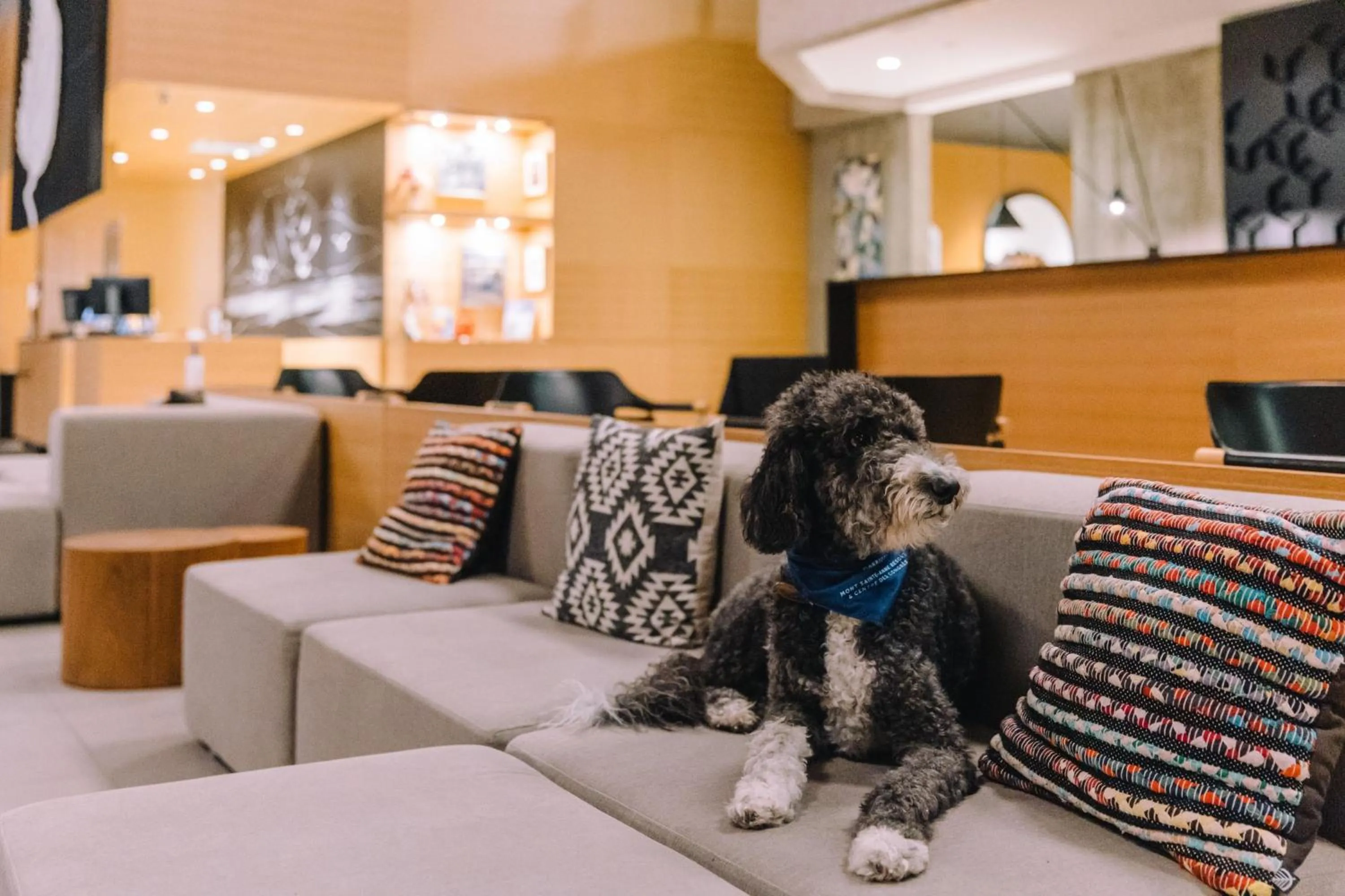 Other in Delta Hotels by Marriott Mont Sainte-Anne, Resort & Convention Center