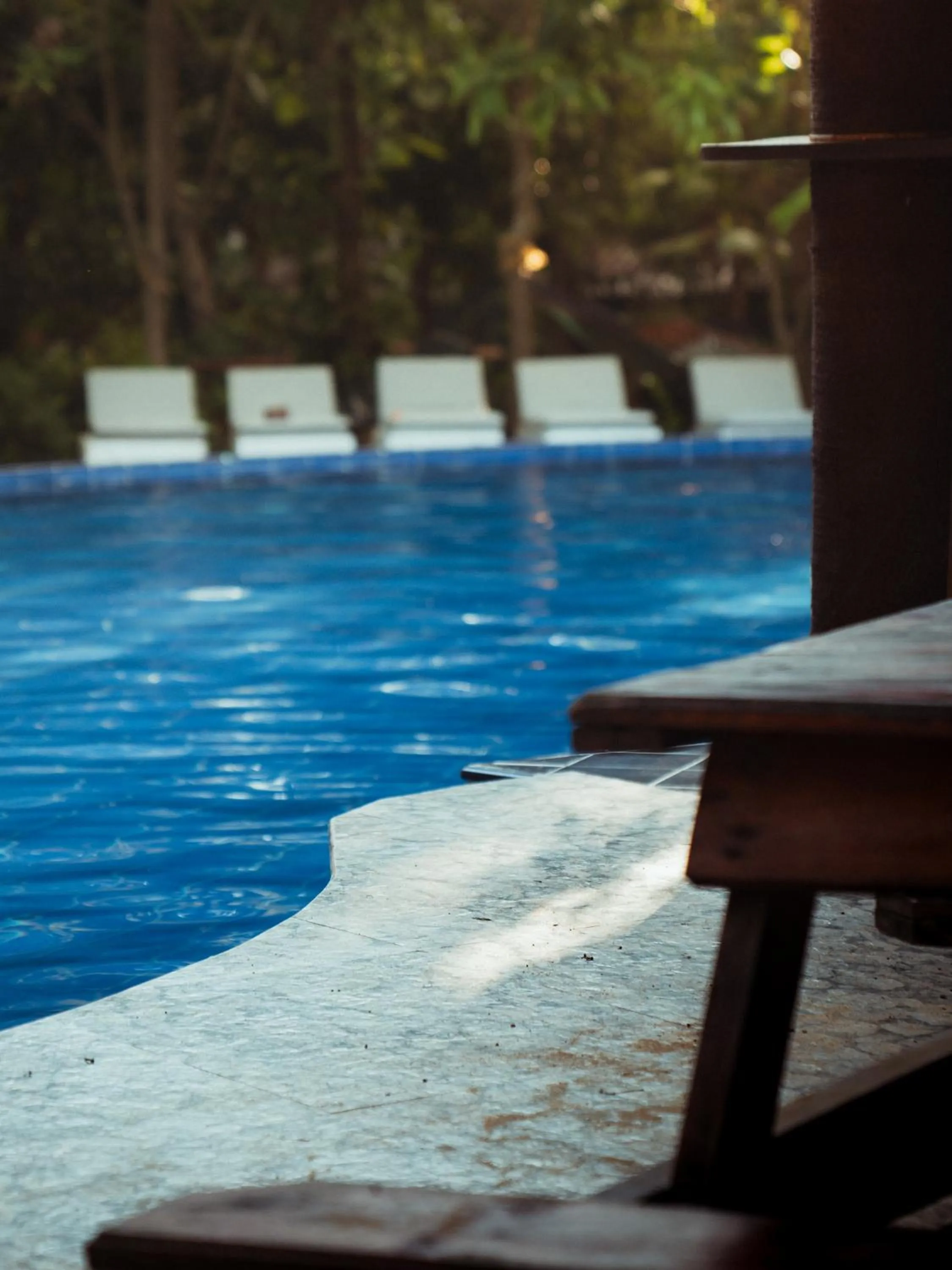 Pool view, Swimming Pool in Sundaras Resort & Spa Dambulla