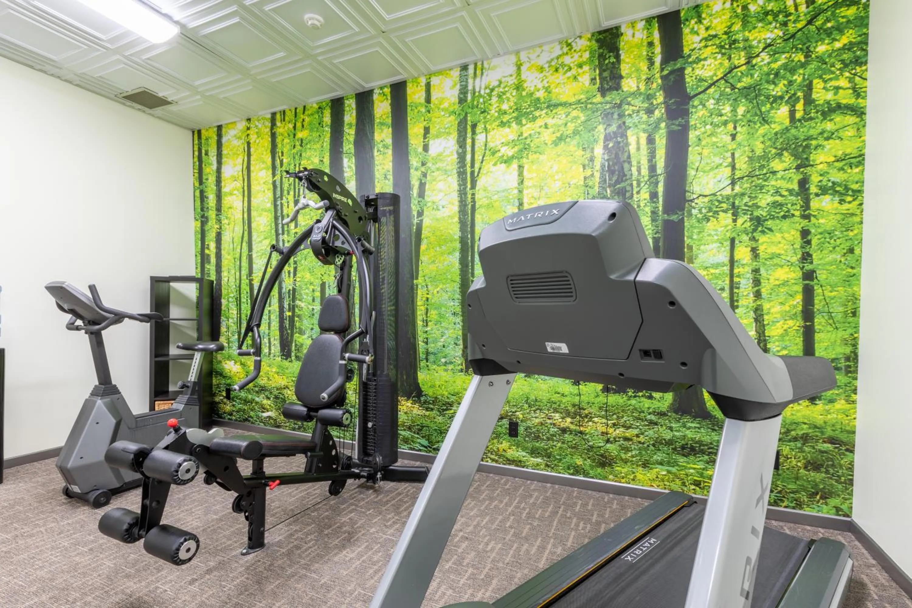 Fitness centre/facilities in Hôtel WelcomInns