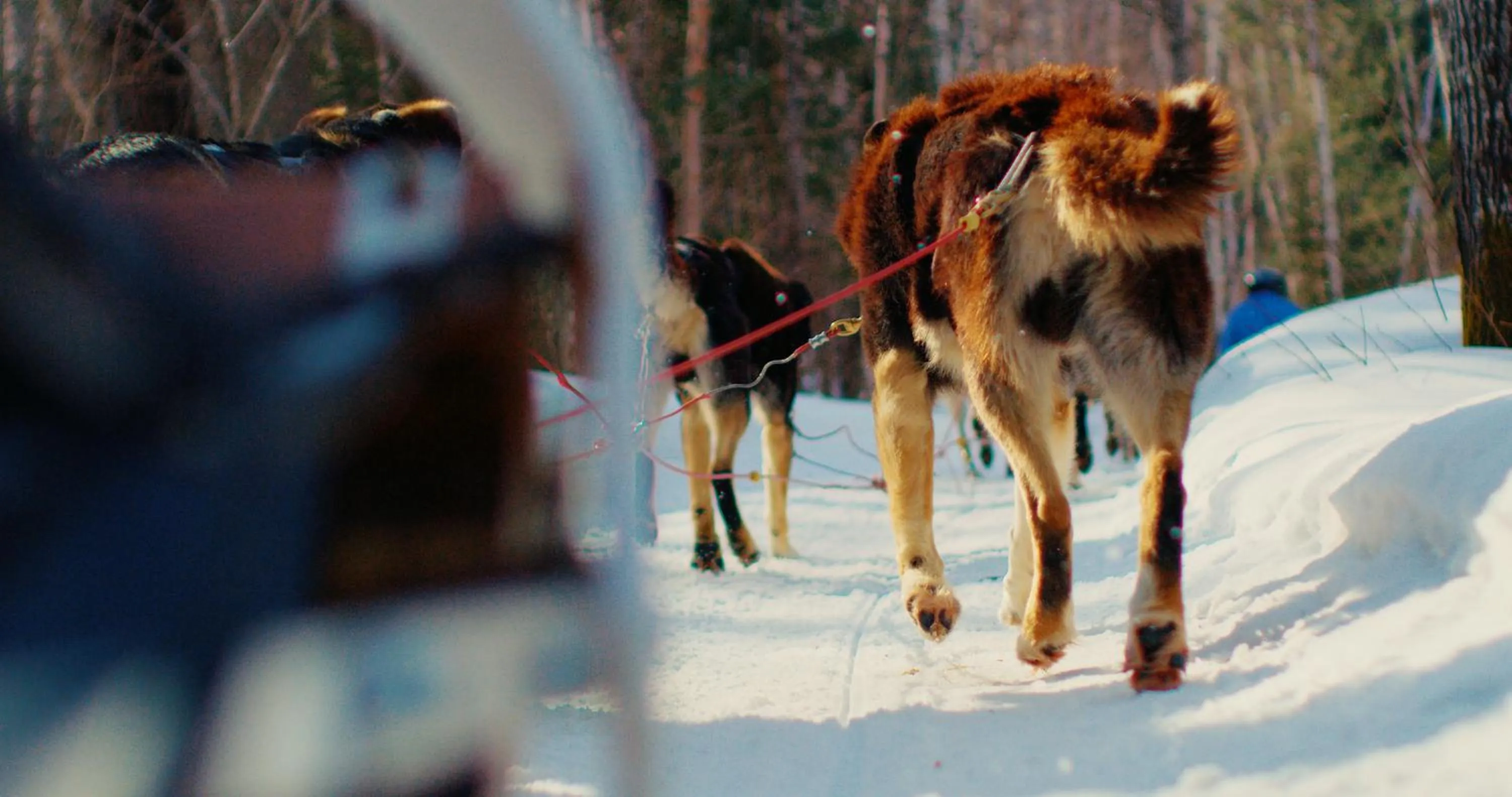 Activities in Auberge du Lac Taureau et Condos