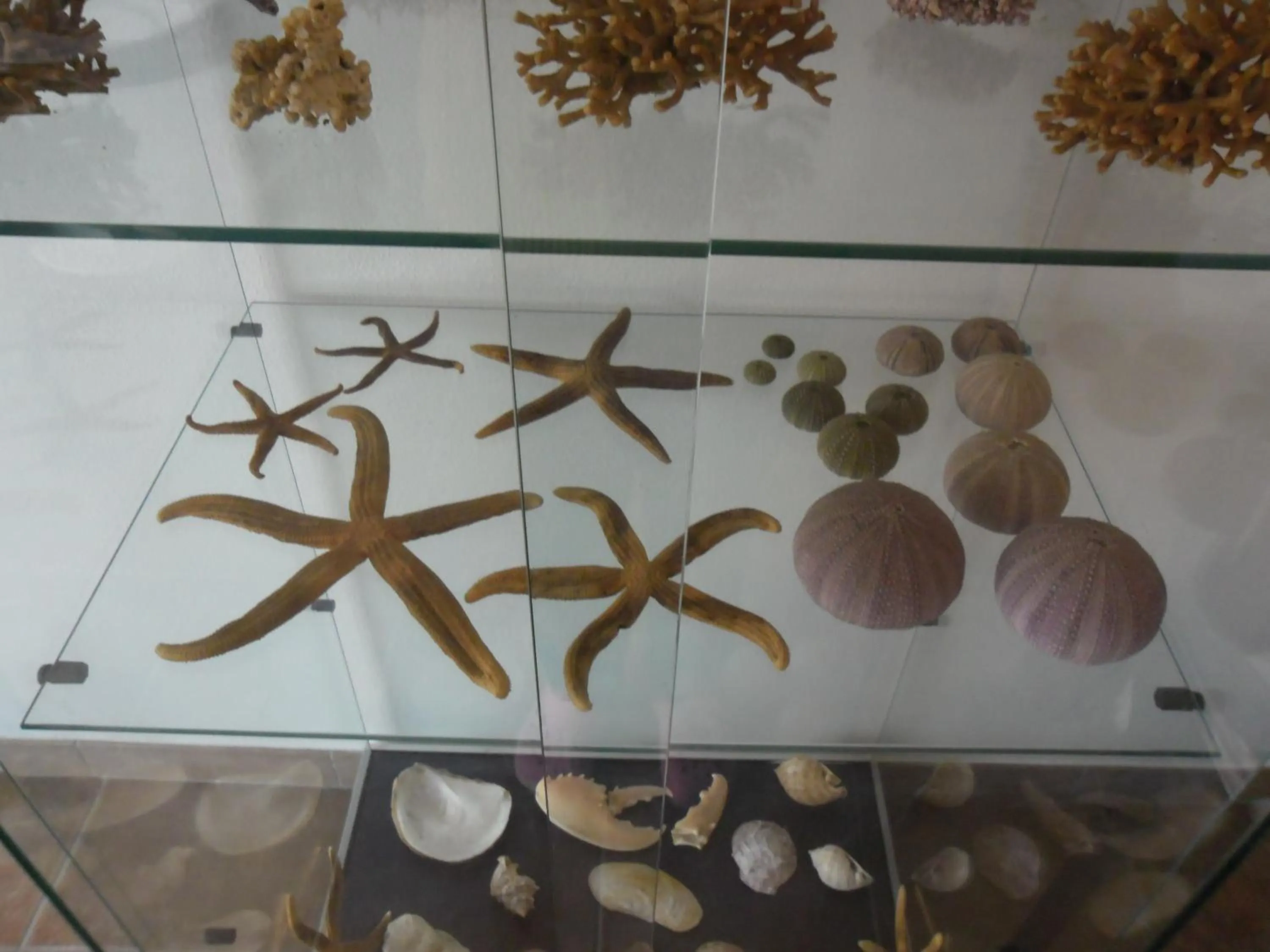 Decorative detail in Canne Al Vento