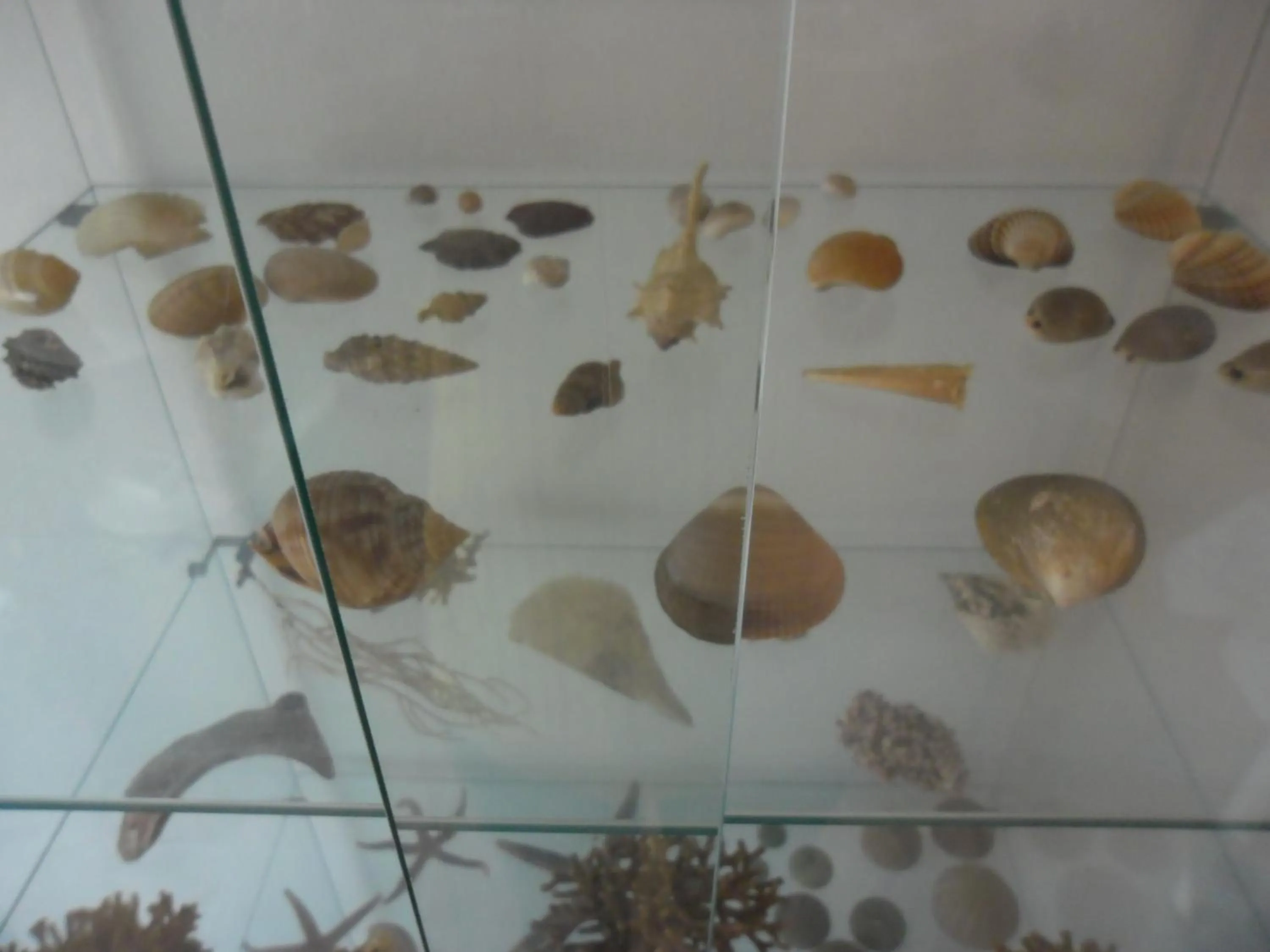 Decorative detail in Canne Al Vento