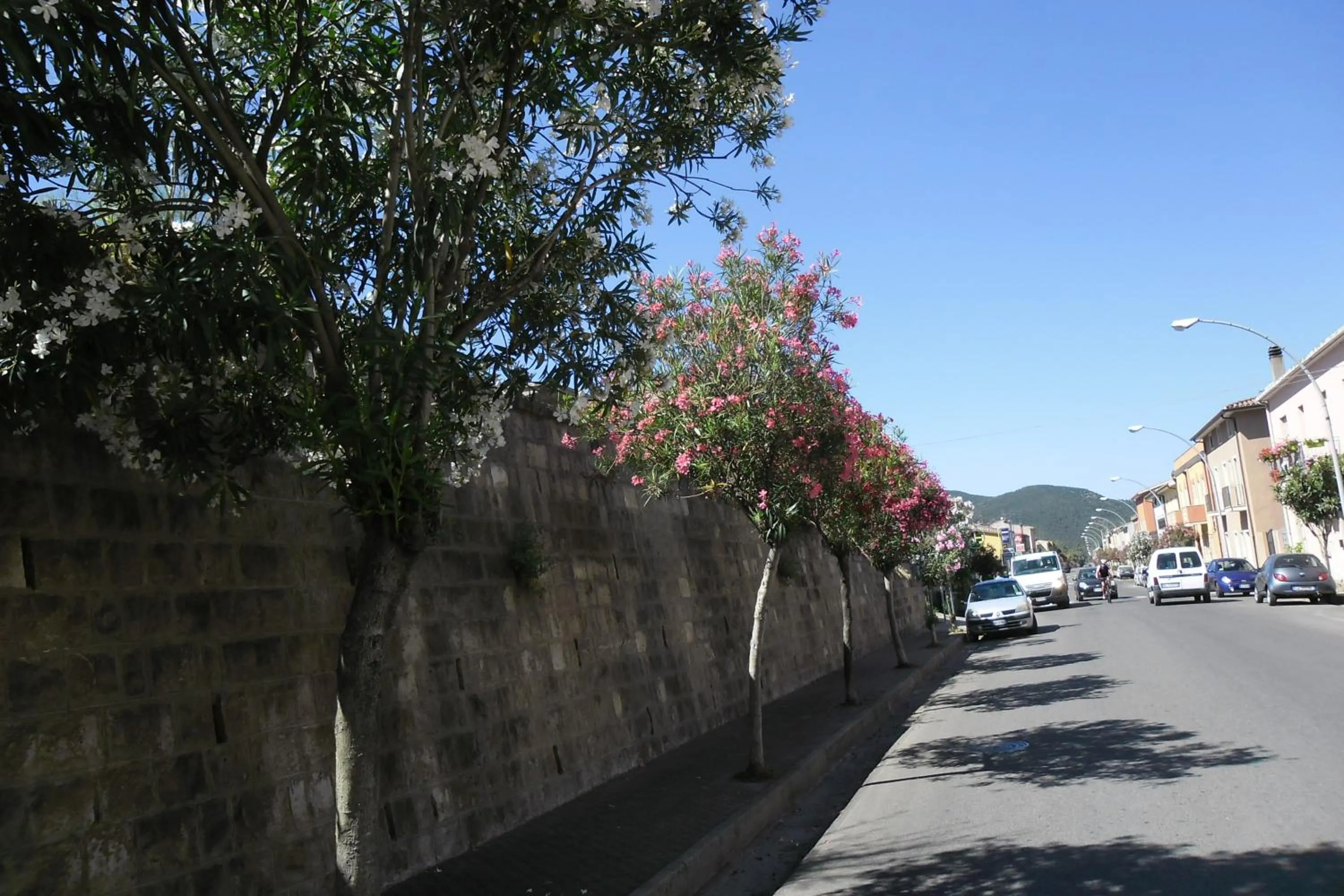 Street view in Canne Al Vento