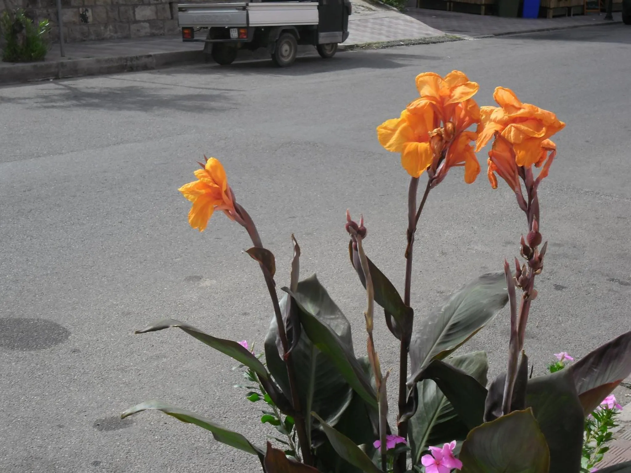 Decorative detail in Canne Al Vento