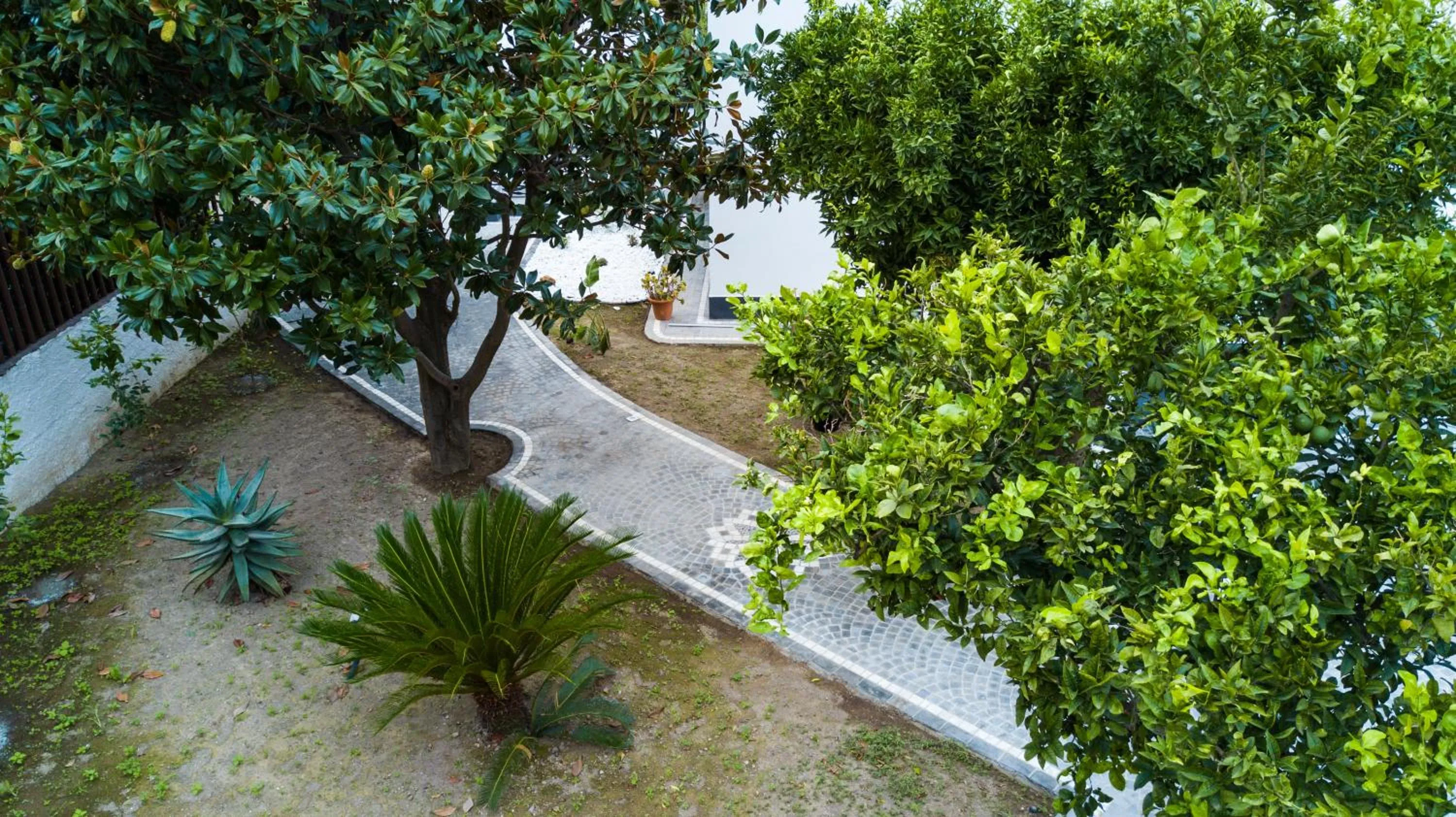 Day in Maison de Julia Pompei