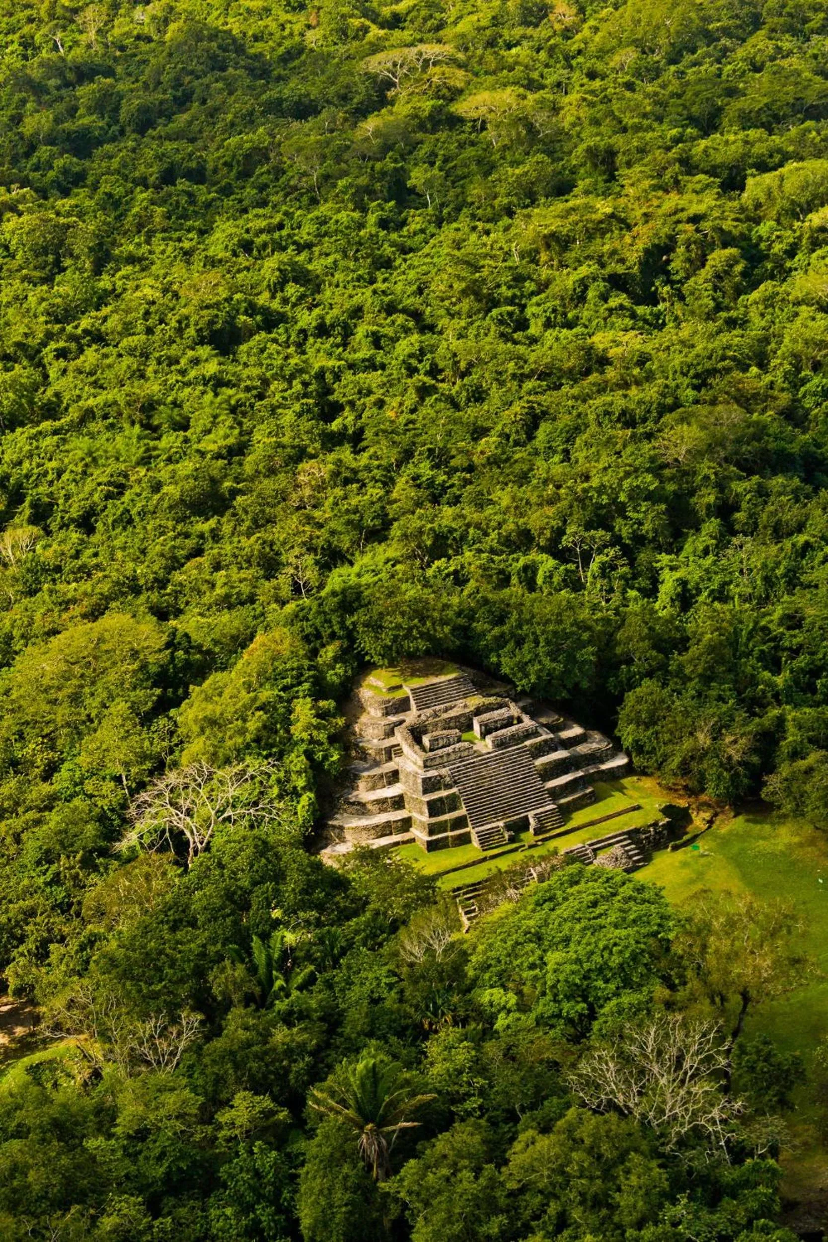 Natural landscape in Pelican Beach Resort South Water Caye