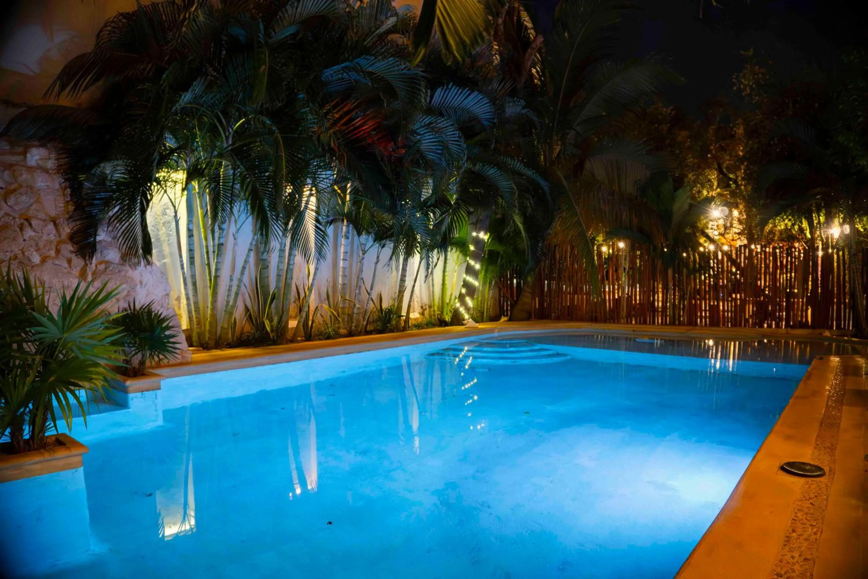 Animals in Niik Tulum