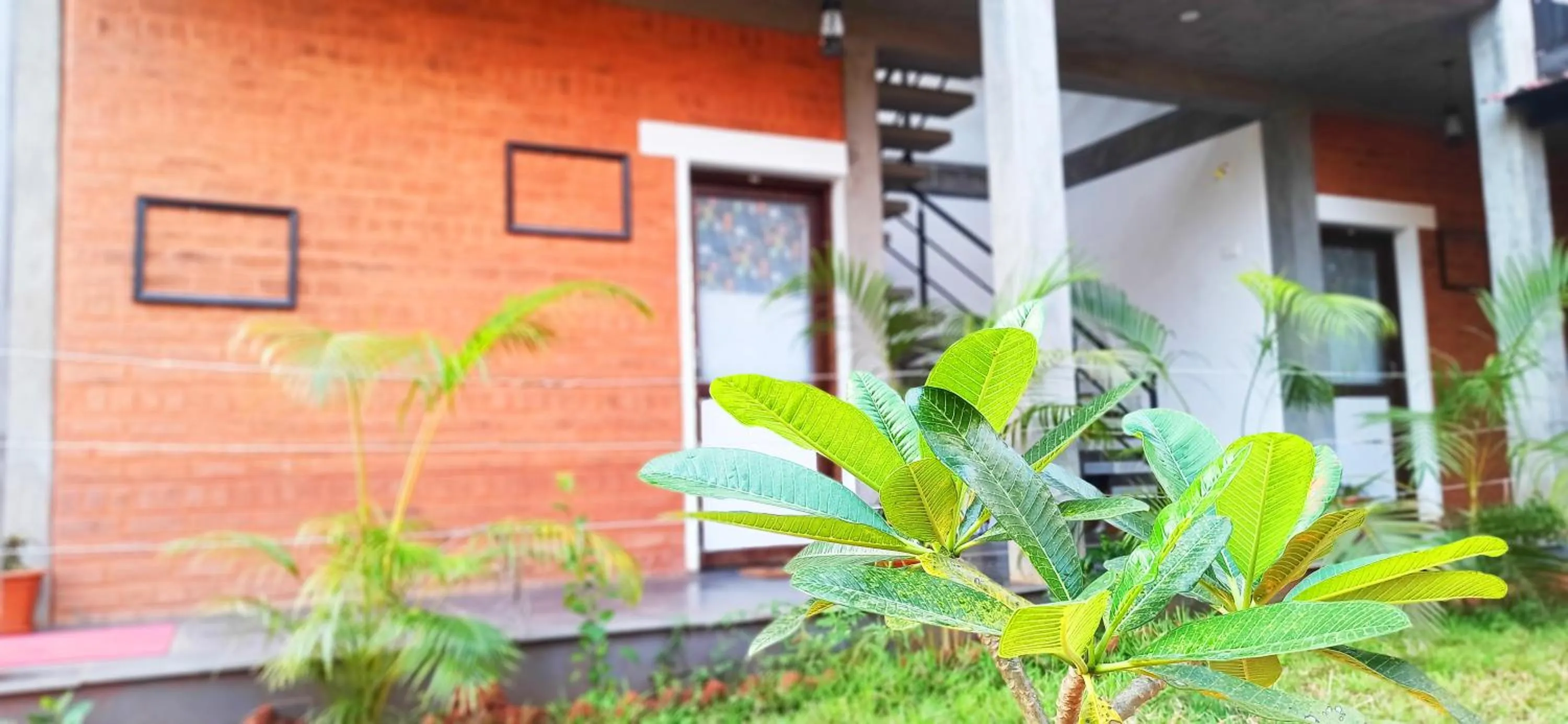 Property building in Wow Farm House