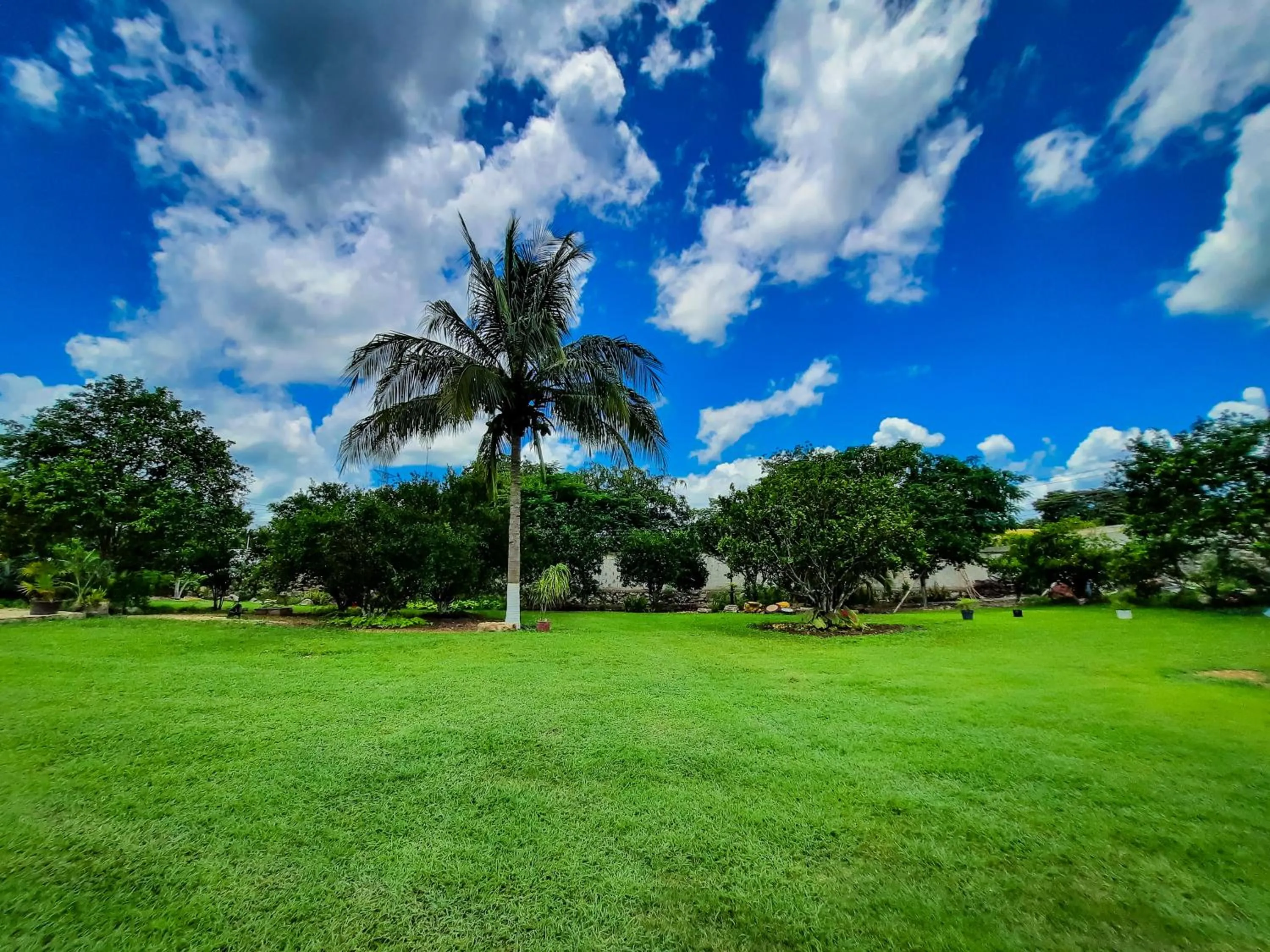 Garden in Hotel Quinta Izamal