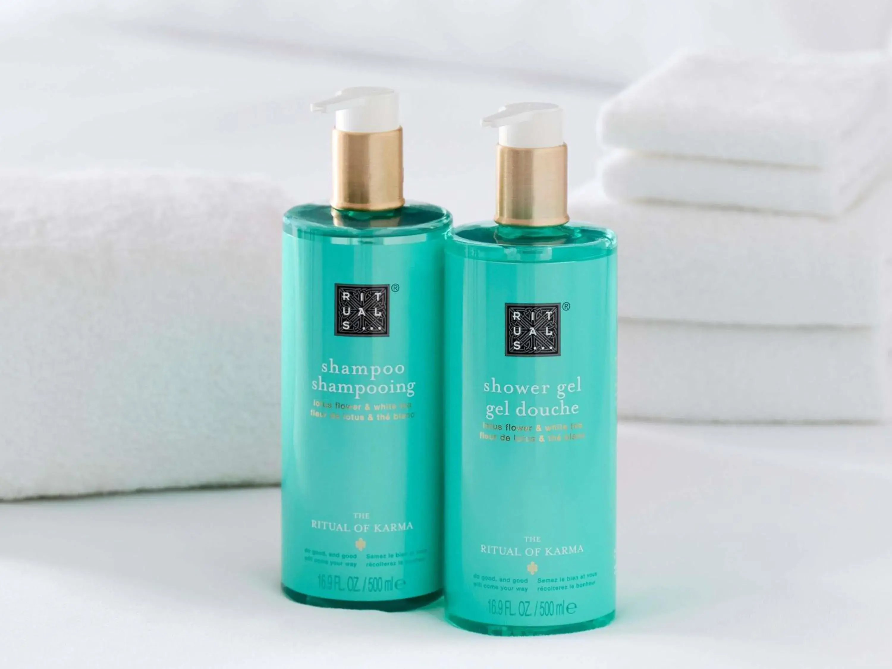 Executive Junior Suite in The Novotel Toronto Centre Executive Junior Suite in The Novotel Toronto Centre