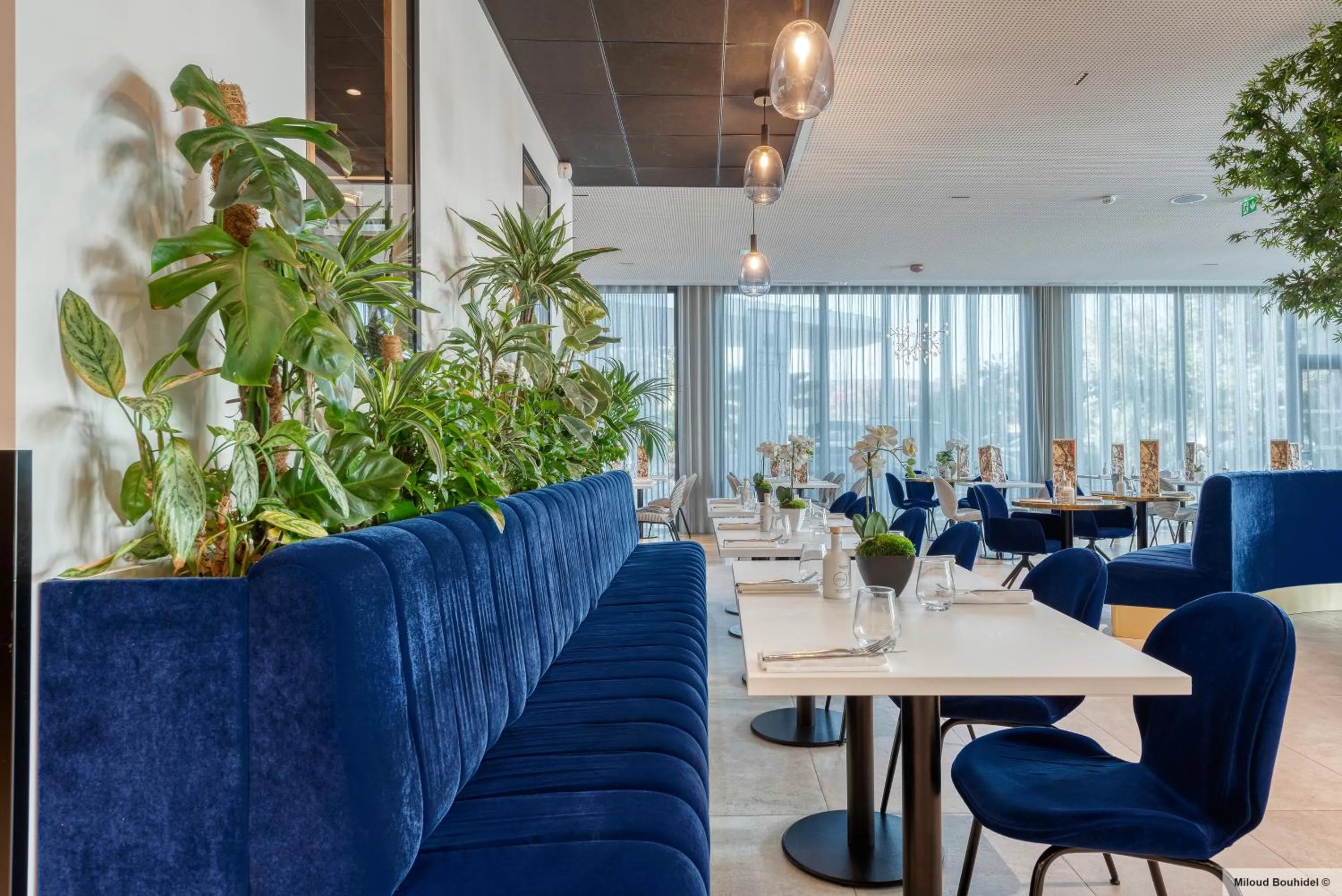 Restaurant/places to eat in GOLDEN TULIP LYON OUEST TECHLID Hotel & Spa