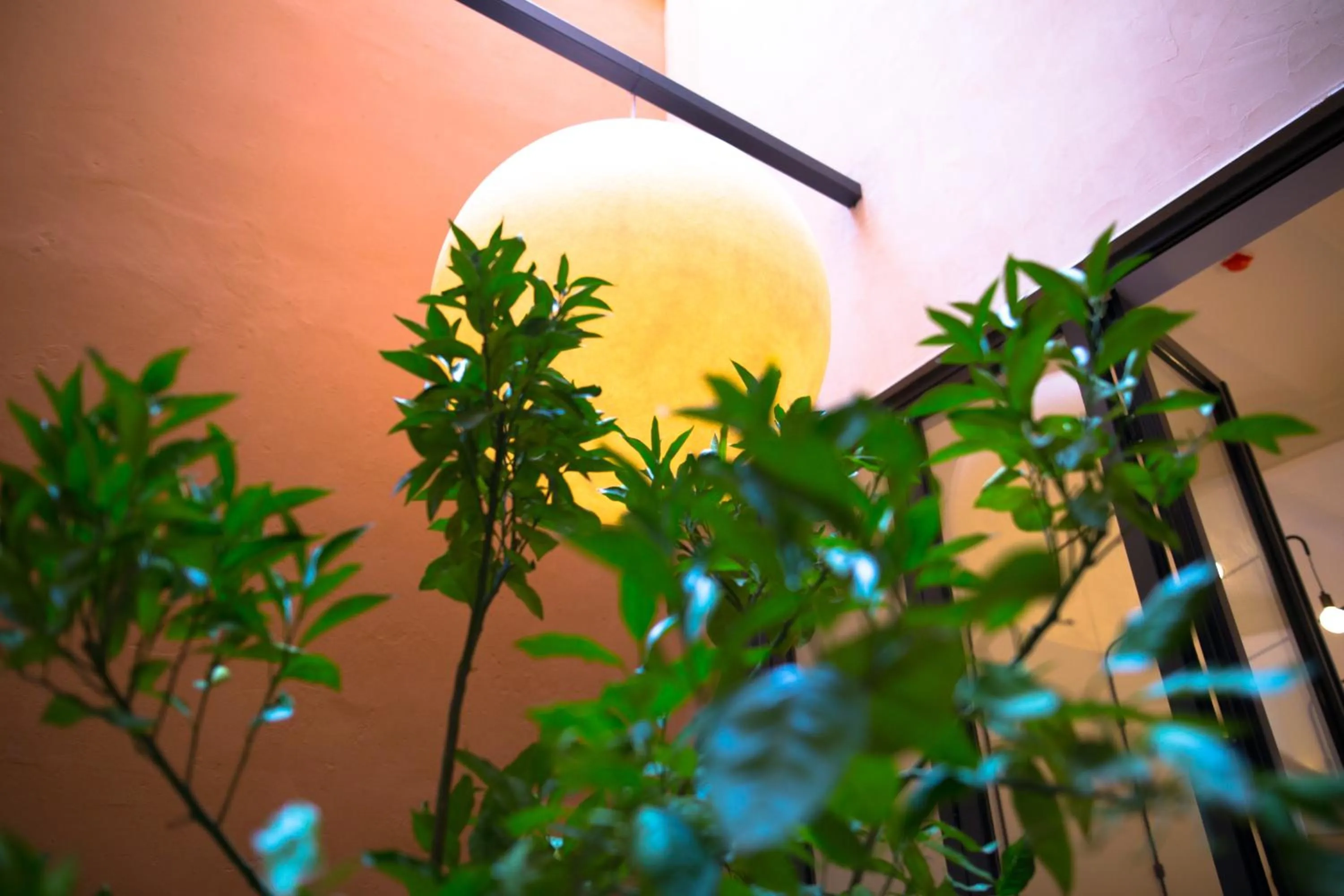 Property building in Hotel Orangine