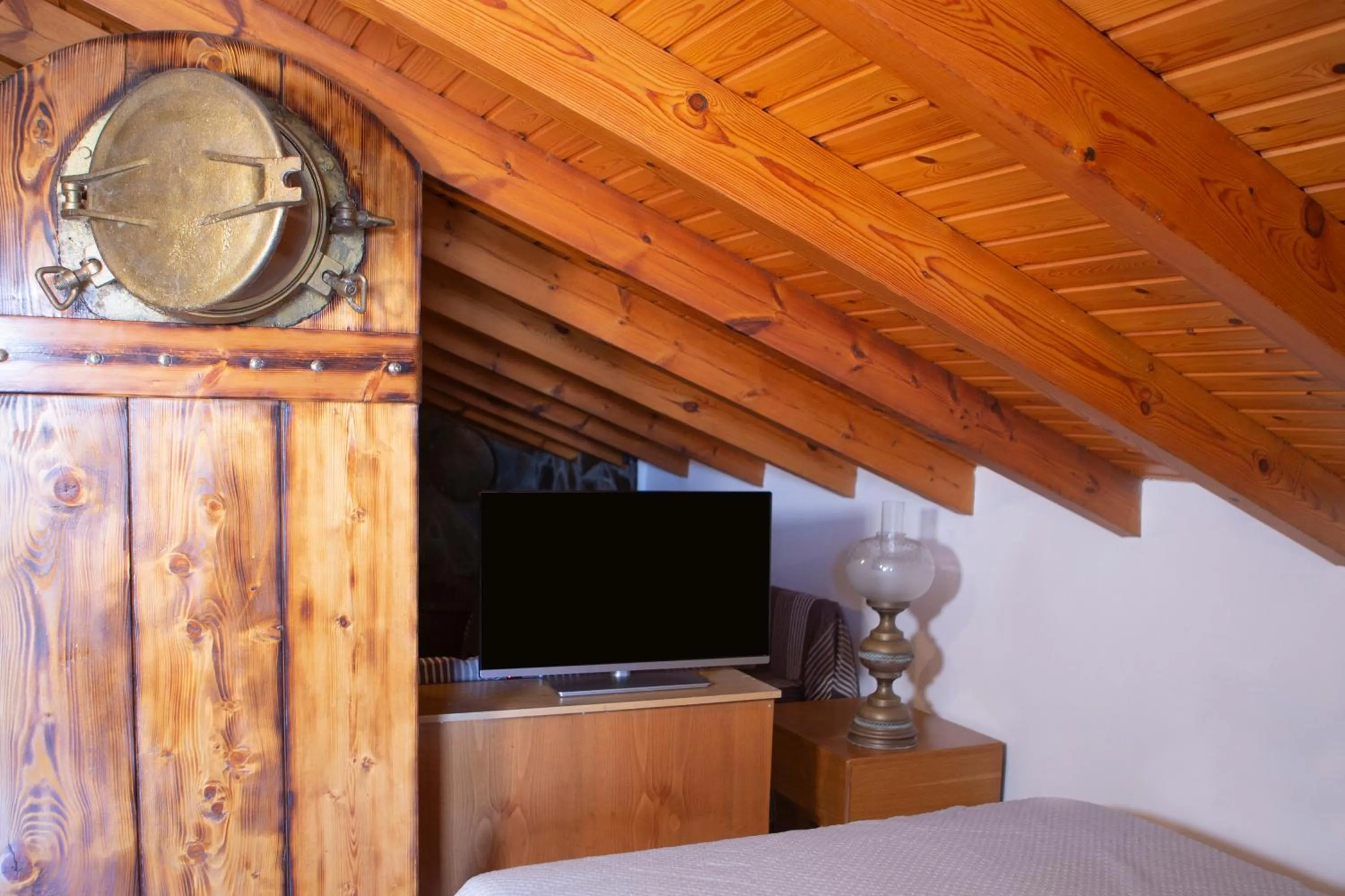 TV and multimedia in Captain Ikaros