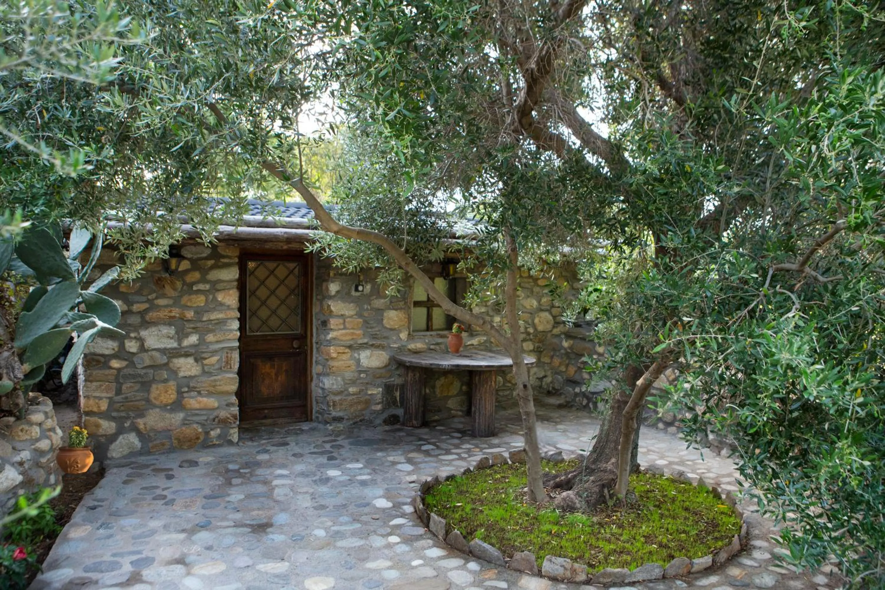 Property building in Captain Ikaros