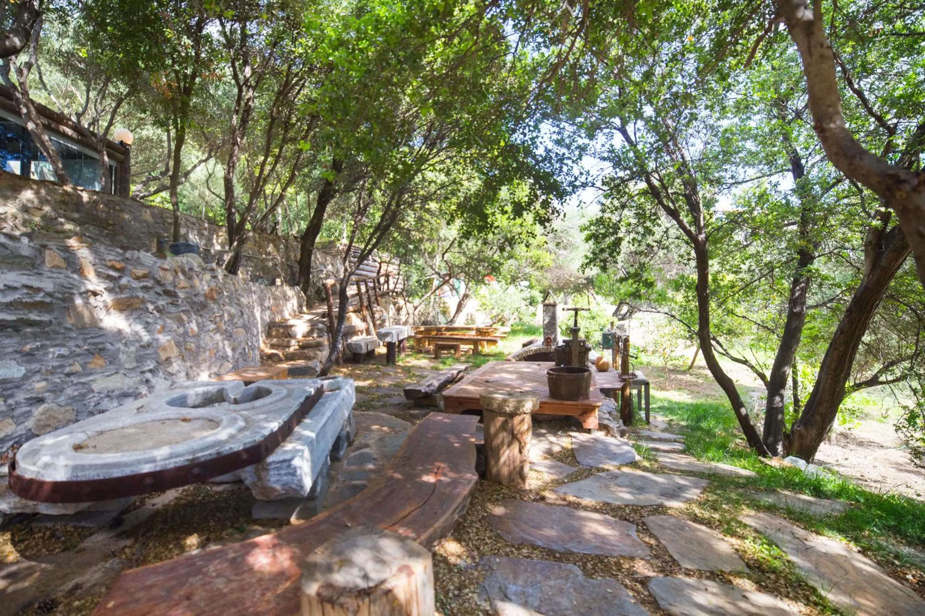 Garden in Captain Ikaros