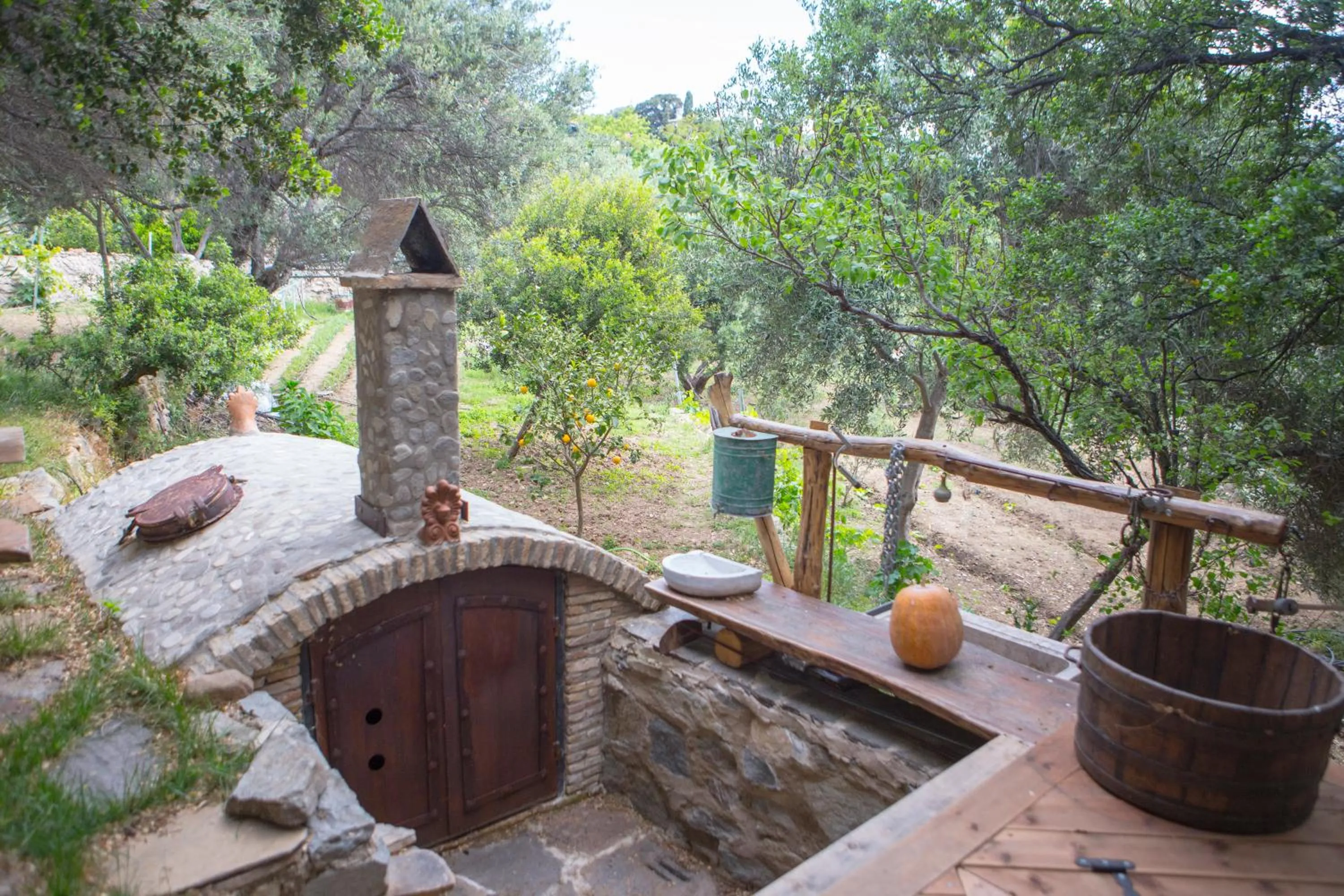 Garden in Captain Ikaros