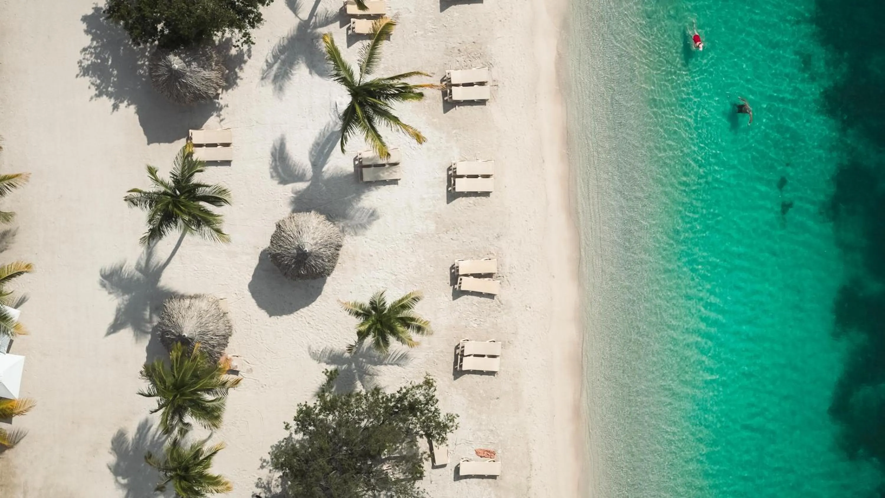 Beach in Sandals Royal Curacao All Inclusive Couples Only