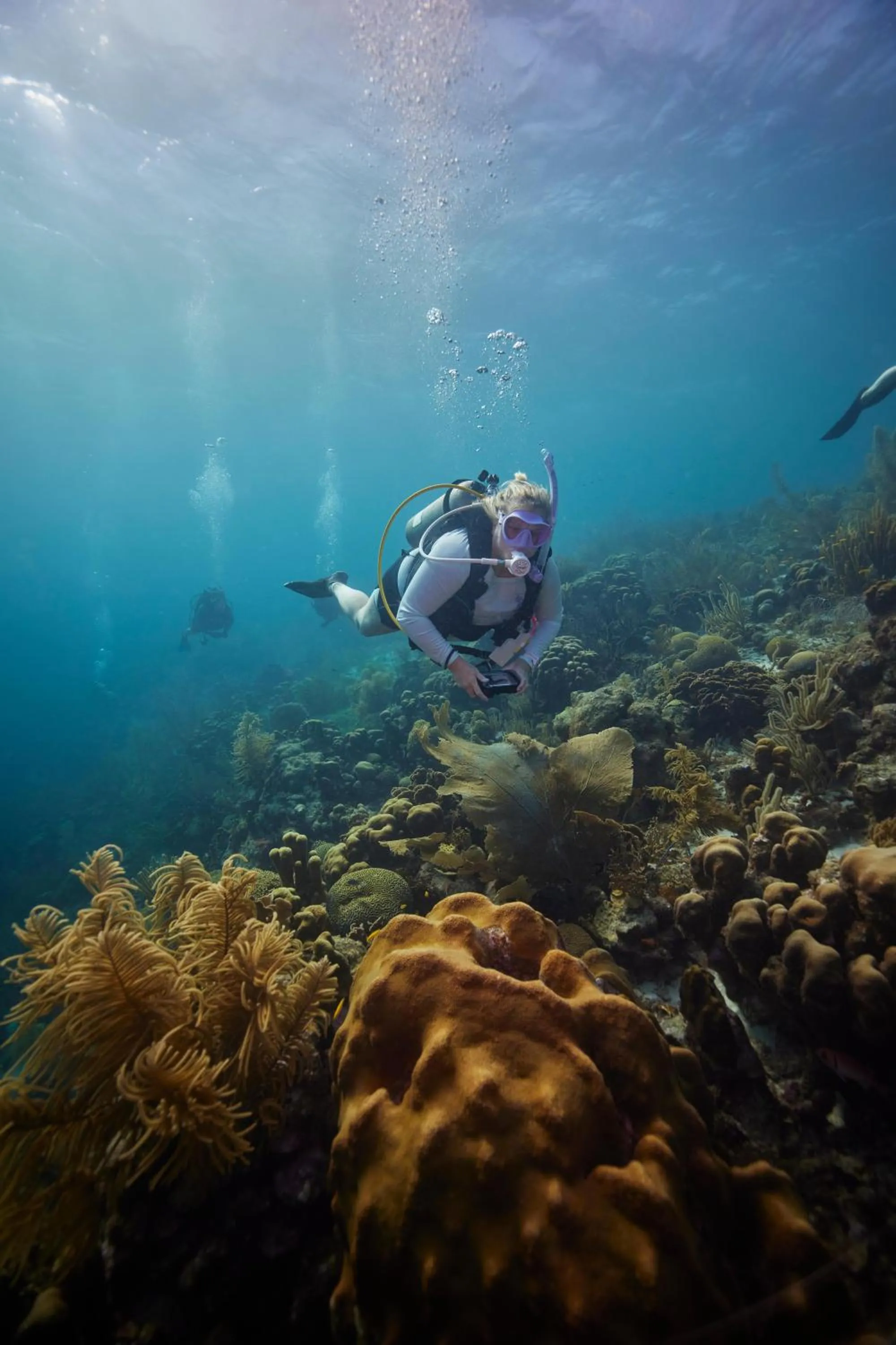 Activities in Sandals Royal Curacao All Inclusive Couples Only