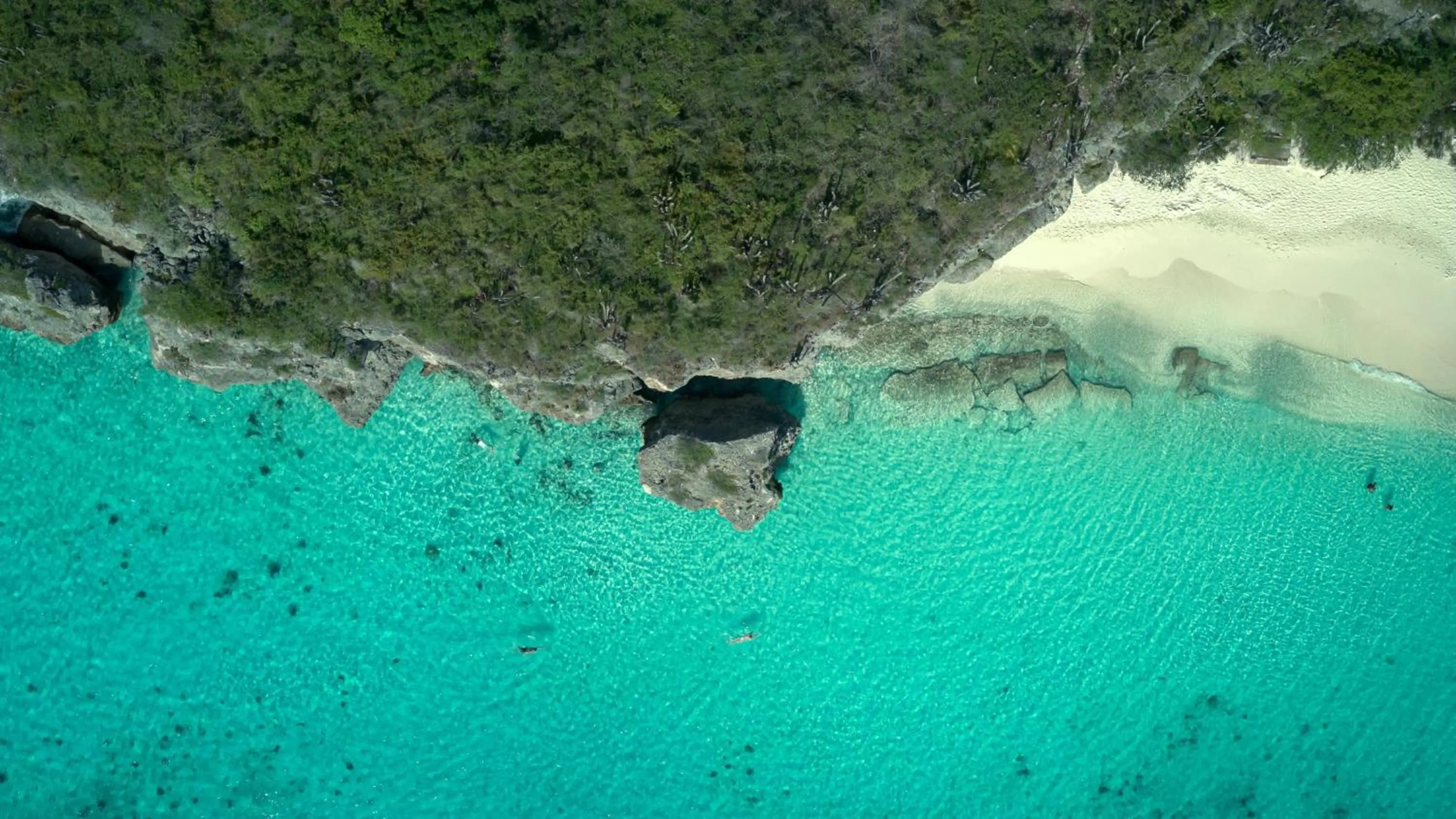 Beach in Sandals Royal Curacao All Inclusive Couples Only