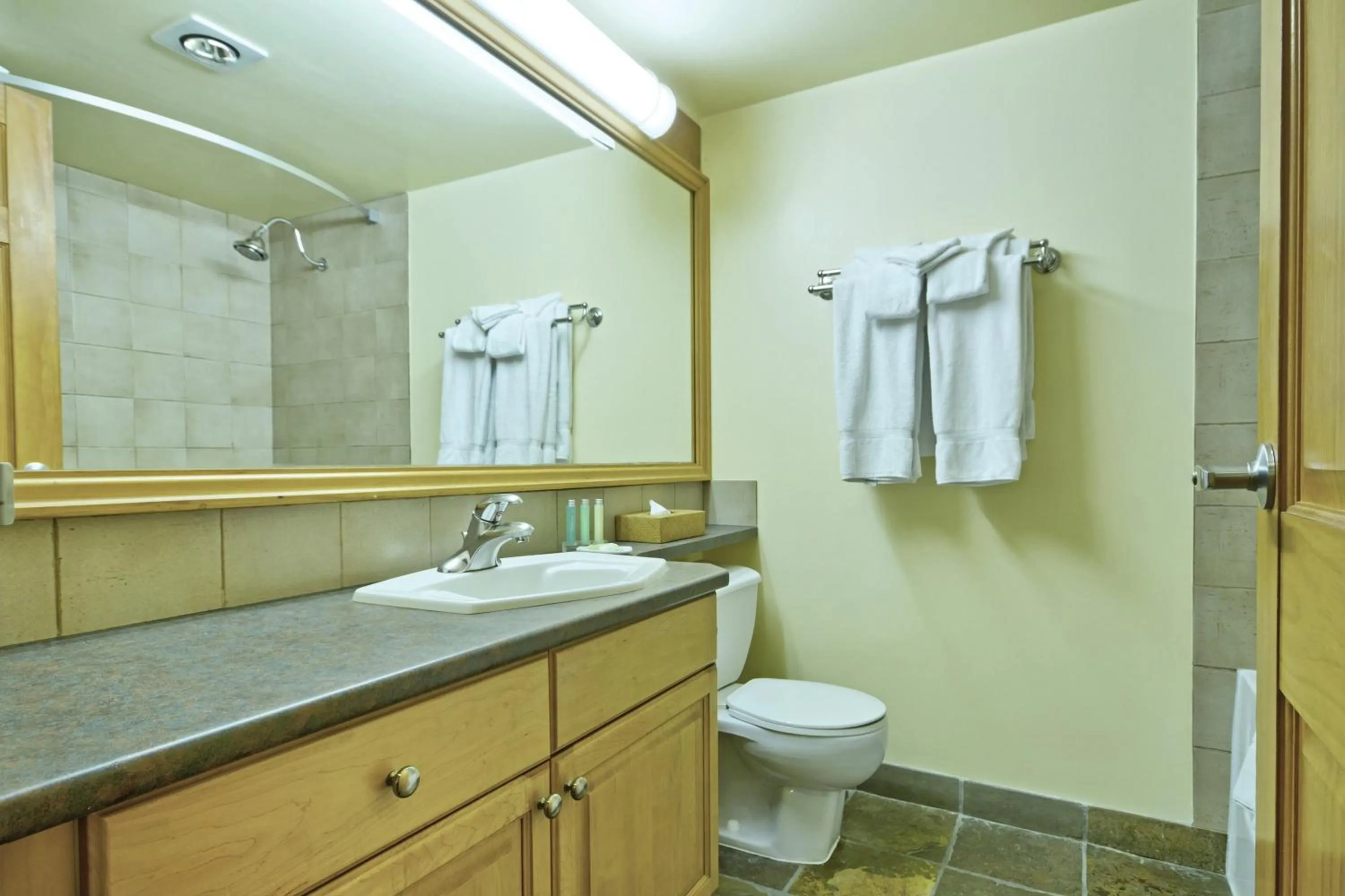 Photo of the whole room in Mountainside Lodge