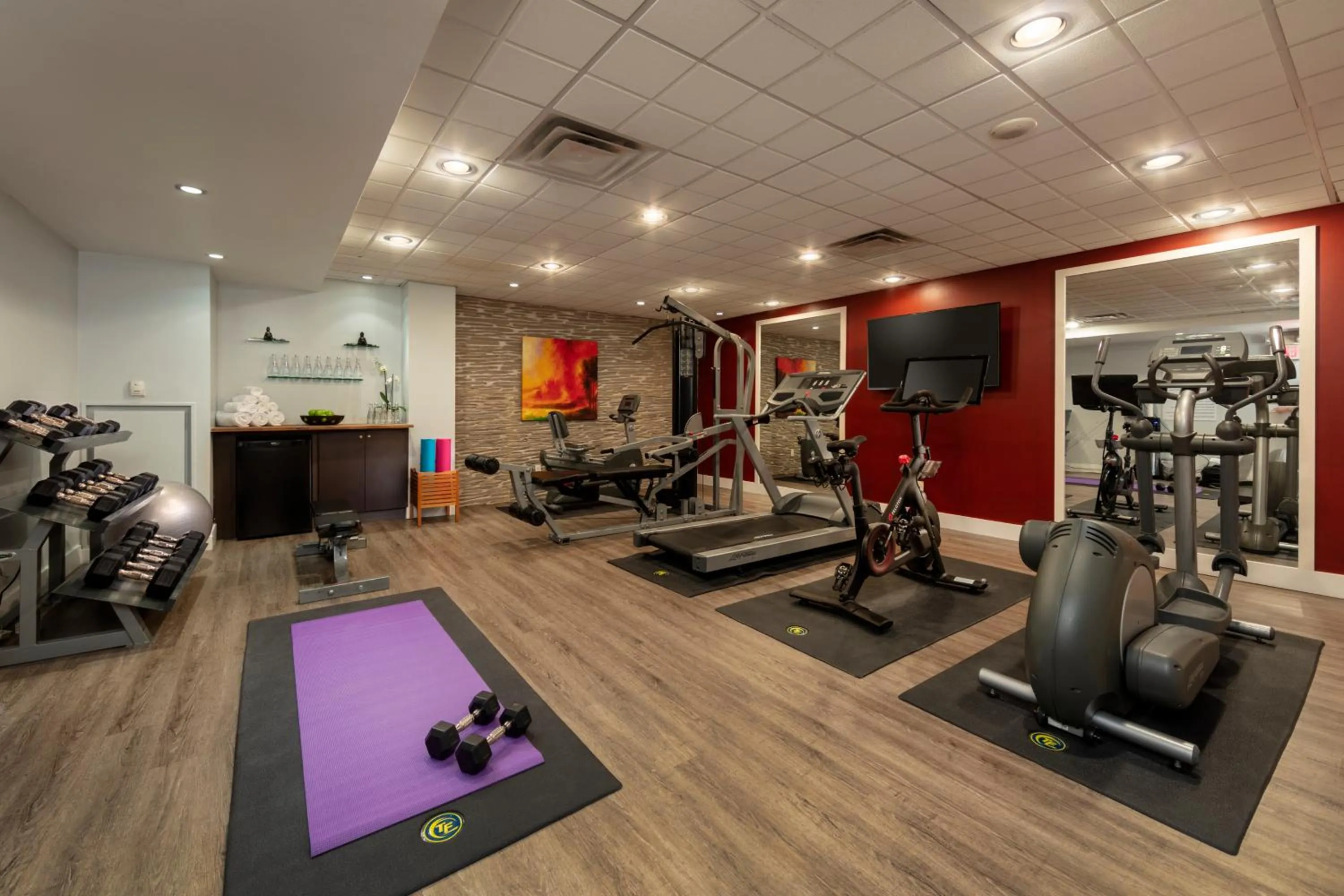 Fitness centre/facilities in Executive Hotel Cosmopolitan Toronto