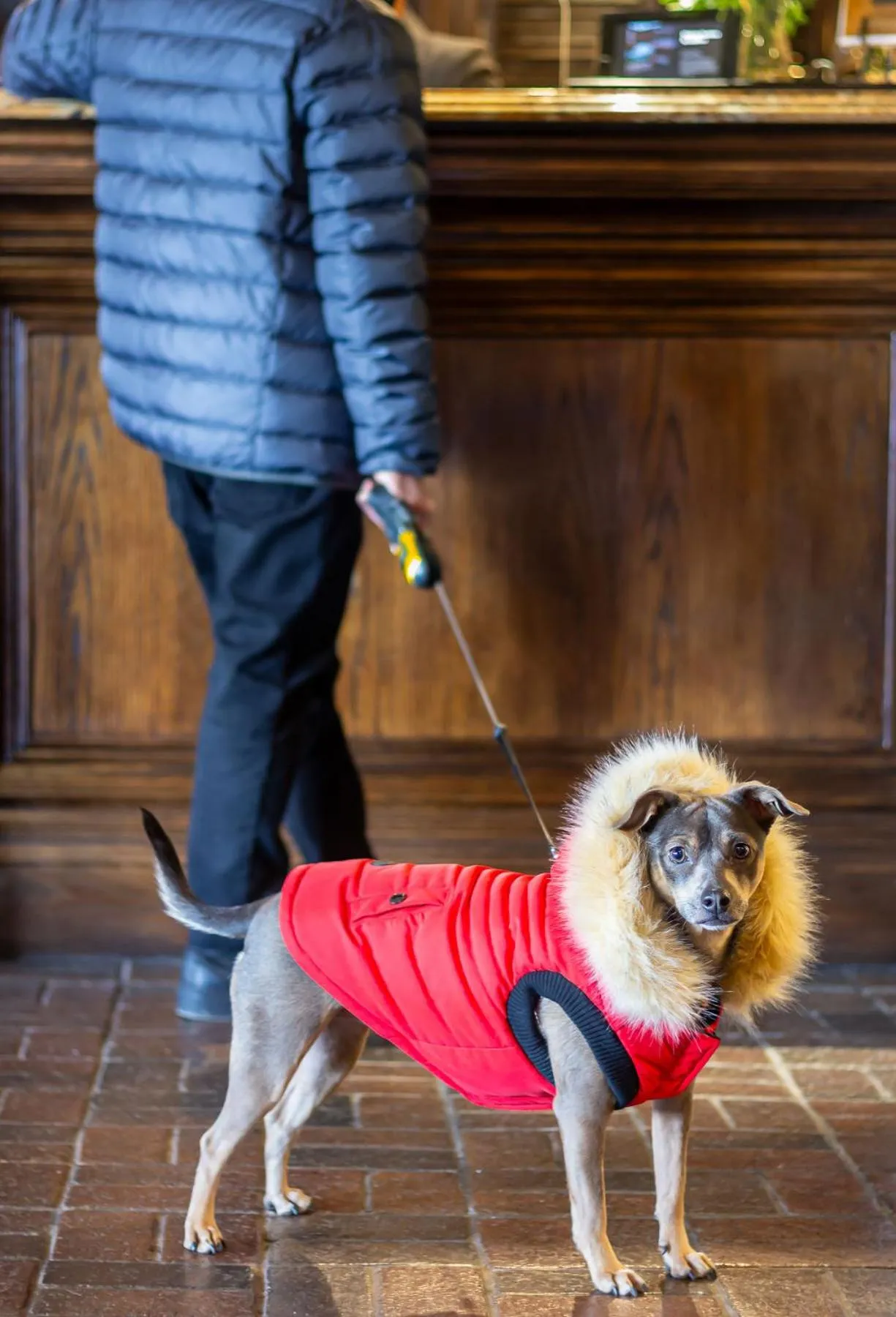 pet friendly in Old Stone Inn Boutique Hotel